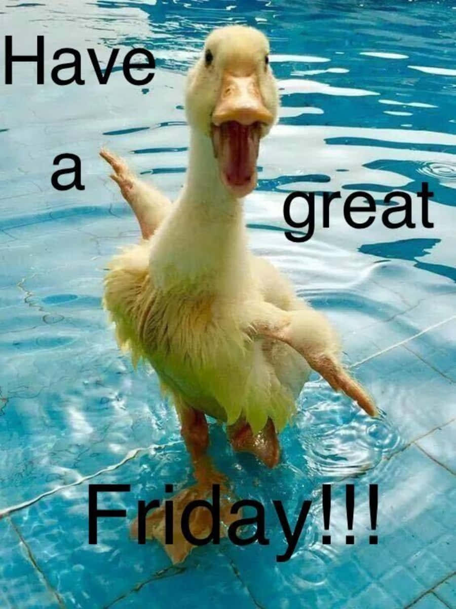 Friday Funny 桌布 壁紙 — 一隻搞笑的黃色鴨子站在藍色瓷磚泳池中，張開嘴巴，抬起一隻腳，好像在歡呼。