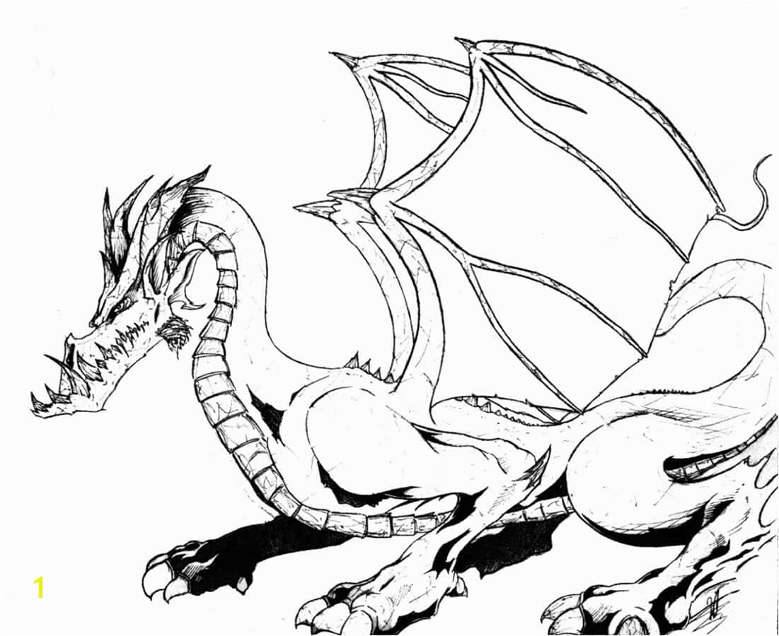 Dragon Coloring 桌布 壁紙 — 一隻擁有尖刺鱗片和皮革翅膀的兇猛龍，以動態姿勢蹲伏，用粗黑墨水繪製在白紙上。