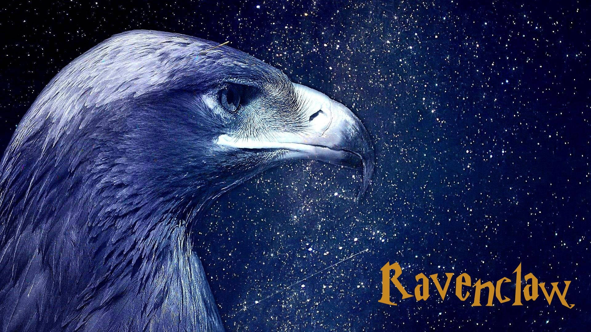 雷文克勞 桌布 壁紙 — 一隻擁有深色羽毛的雄鷹，在繁星點點的夜空下向前凝視，Ravenclaw 字樣閃耀著金色光芒。