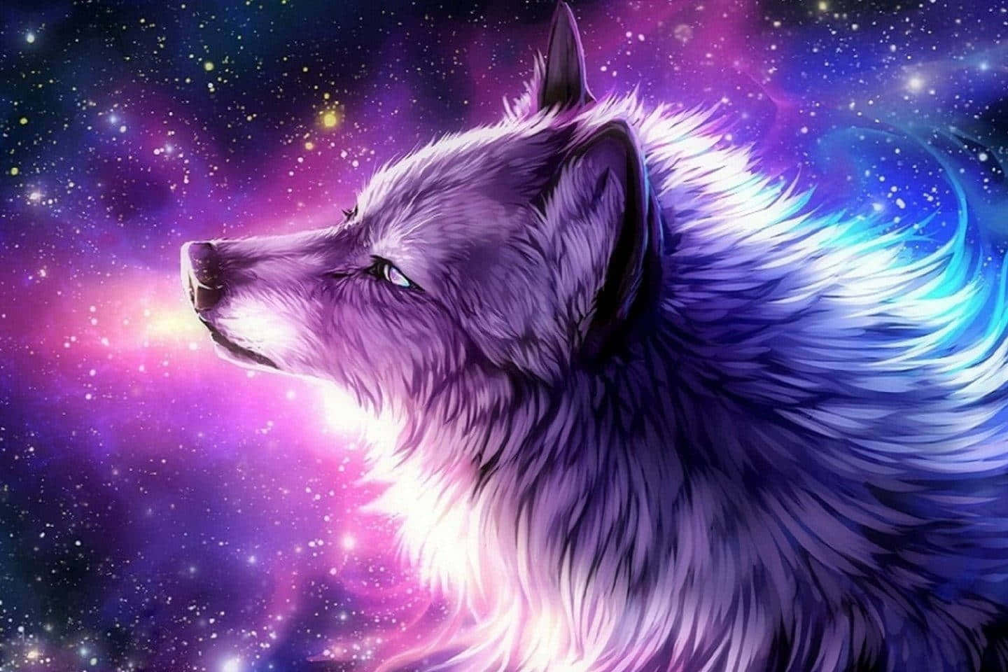 Wolf Aesthetic 桌布 壁紙 — 一隻擁有發光毛皮的雄偉狼凝視著充滿紫色、藍色和粉紅色星星的充滿活力的宇宙星雲。