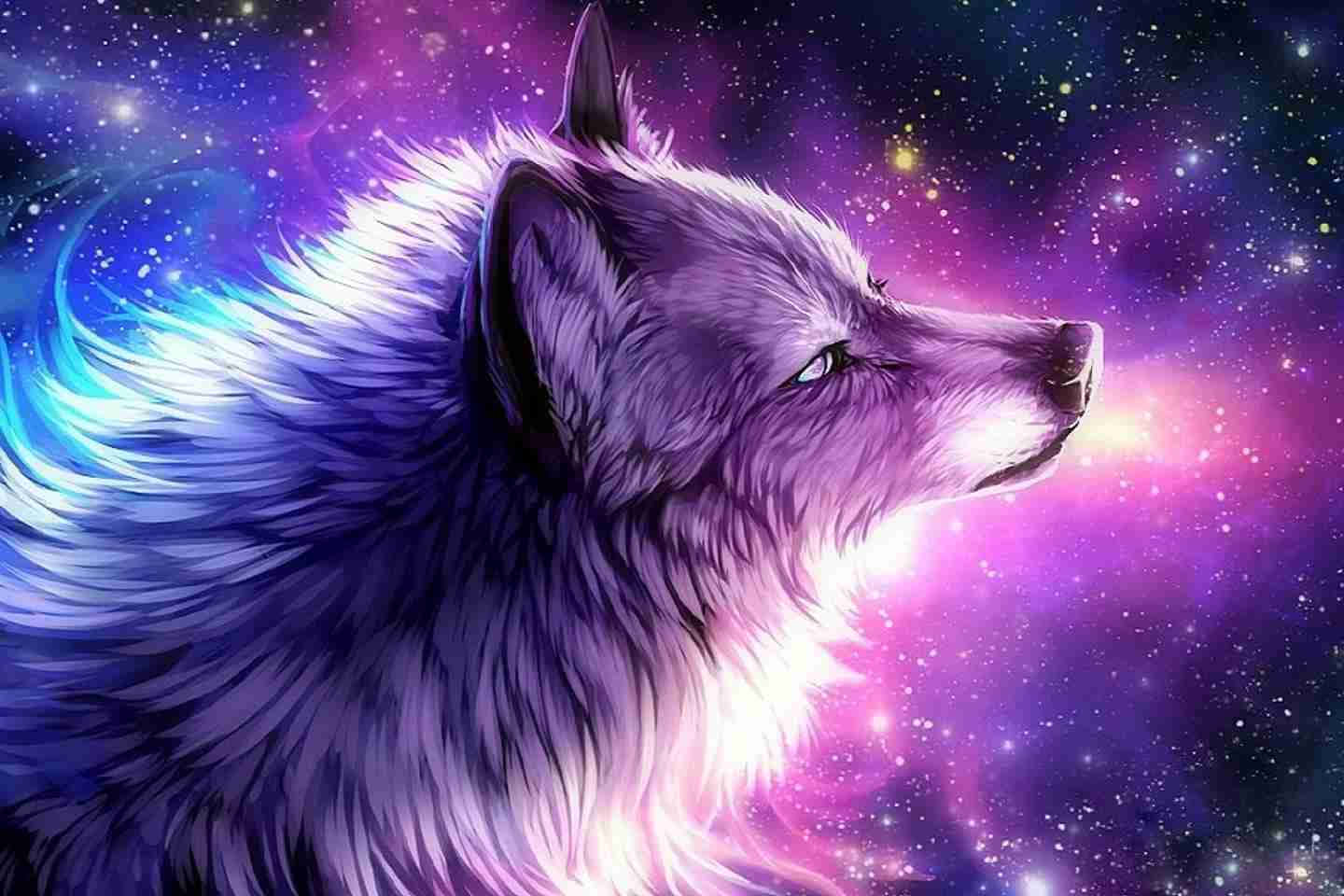 Galaxy Wolves 桌布 壁紙 — 一隻擁有發光毛皮的雄偉紫色狼凝視著充滿恆星和旋轉星系的生動宇宙星雲。