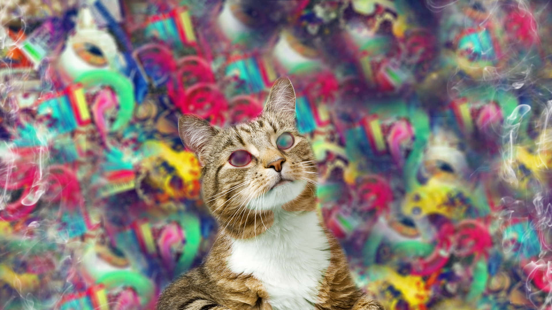 Trippy Animals 桌布 壁紙 — 一隻擁有發光眼睛的虎斑貓，向上凝視著充滿鮮豔、融化色彩和抽象形狀的迷幻漩渦。