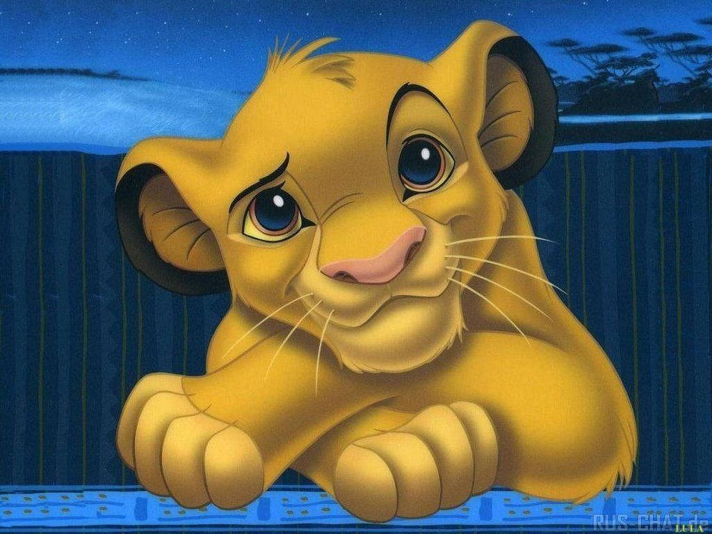 simba 桌布 壁紙 — 一隻擁有藍色大眼睛的幼獅在星空下好奇地越過藍色欄杆張望。