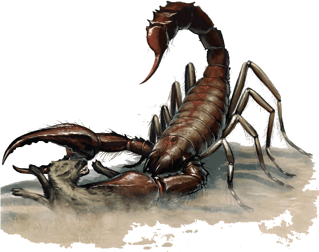 scorpion 桌布 壁紙 — 一隻擁有金屬棕色外骨骼的巨型蠍子在雪丘上攻擊一隻嚎叫的狼。