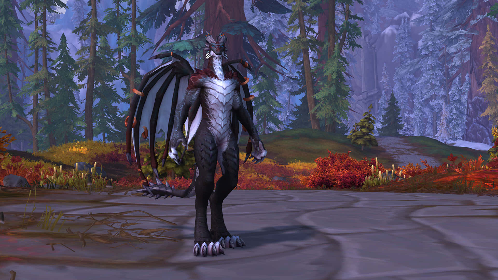 World Of Warcraft Races 桌布 壁紙 — 一隻擁有黑白鱗片和大翅膀的雄偉龍形生物，站在有秋葉的雪地森林中。