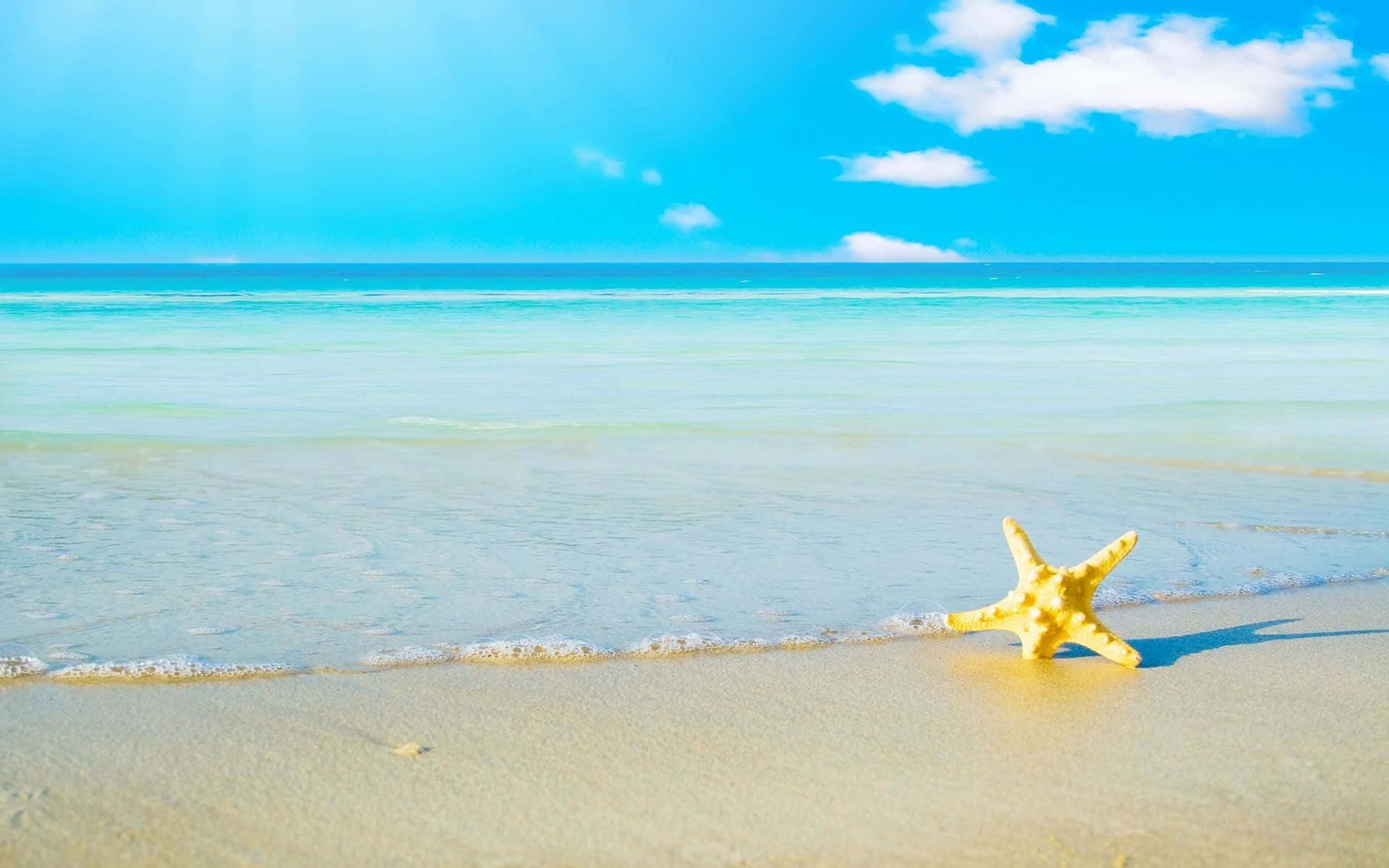 夏日美學動畫 桌布 壁紙 — 一隻明亮的黃色海星在陽光照耀的沙灘上休息，位於碧綠海洋波浪的邊緣，天空清澈湛藍，飄著蓬鬆的白雲。