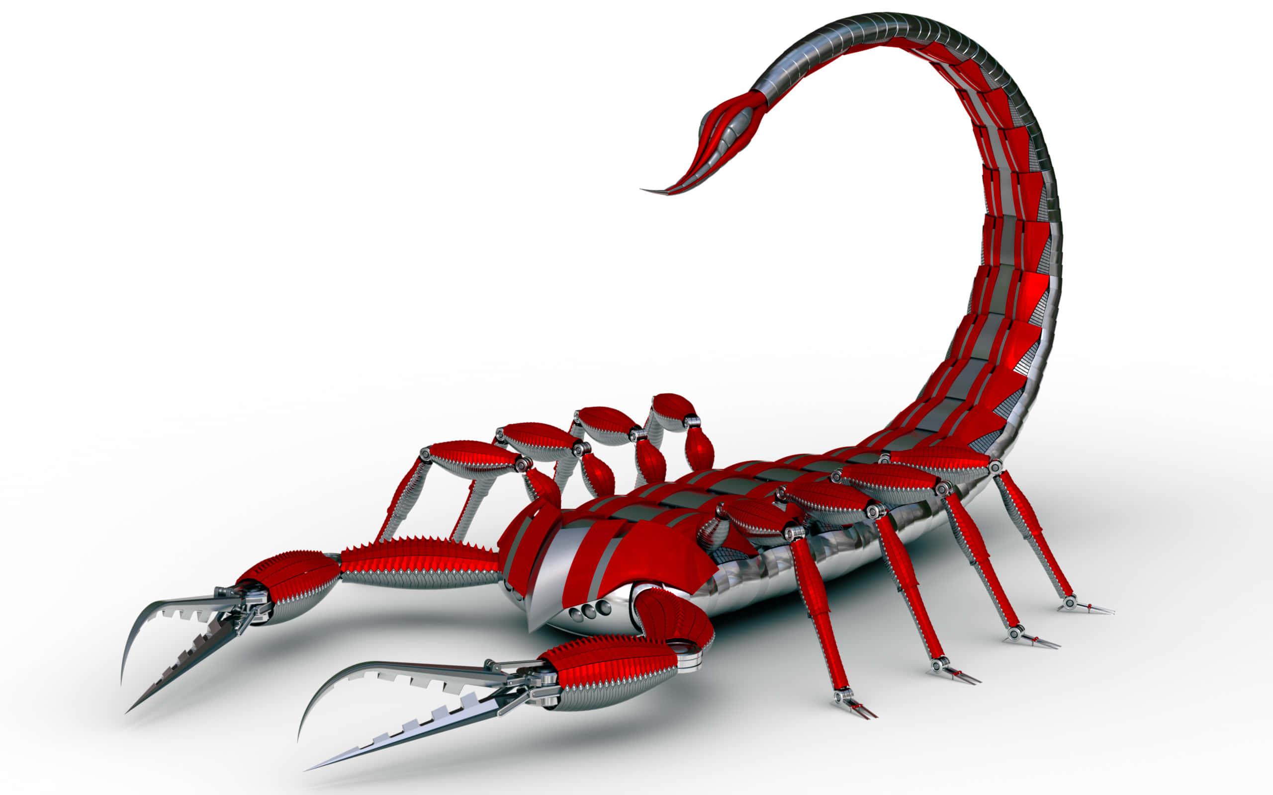 Red Scorpion 桌布 壁紙 — 一隻時尚的紅銀色機械蠍子，具有關節和彎曲的尾巴，擺放在純白色背景前。