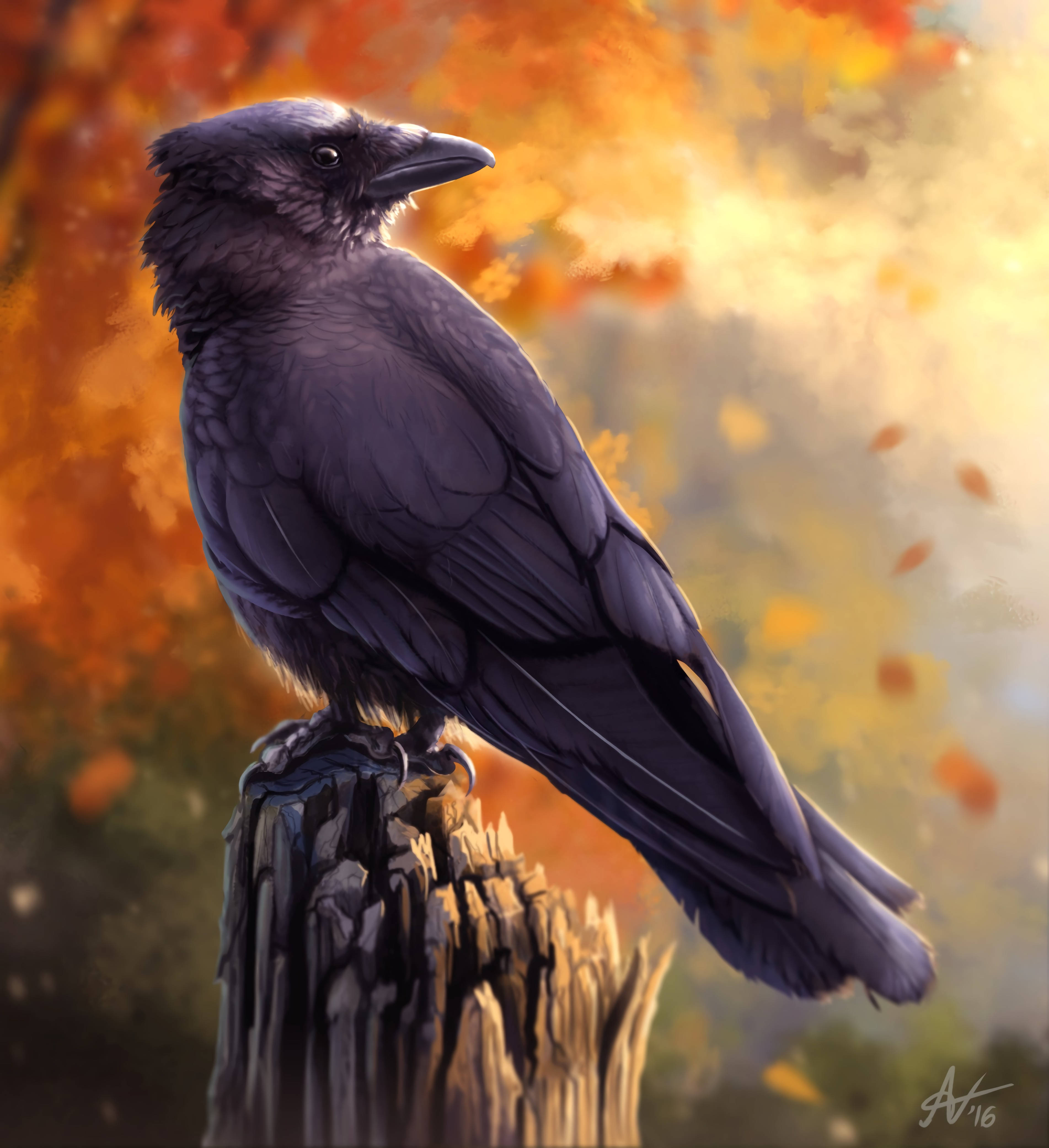 Raven 桌布 壁紙 — 一隻有光澤的黑色烏鴉威嚴地棲息在一個風化的樹樁上，背景是充滿活力的秋天，橙色落葉飄舞。