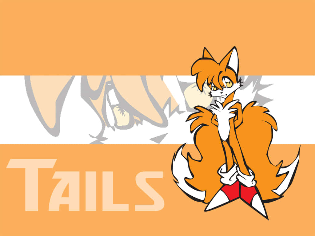 Tails 桌布 壁紙 — 一隻有兩條尾巴的開心橙色狐狸自信地站在條紋橙色和白色背景前，背景上有大字母寫著名字Tails。