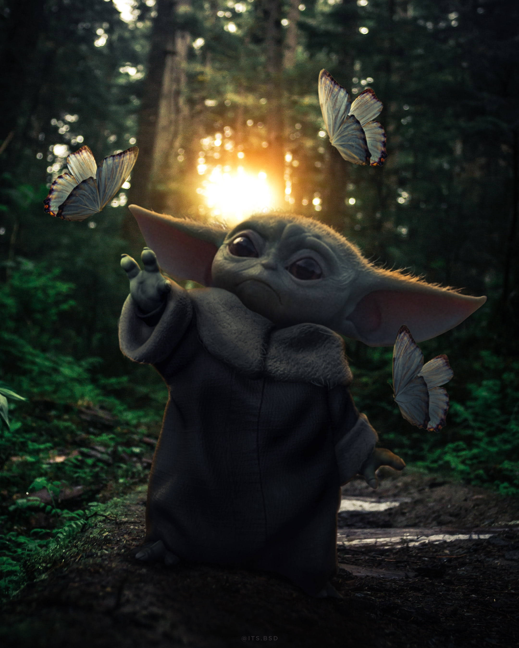 Mandalorian And Baby Yoda 桌布 壁紙 — 一隻有大耳朵的綠色小生物站在陽光明媚的森林中，蝴蝶在牠伸出的手周圍飛舞。