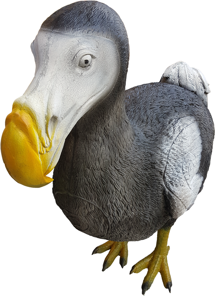 dodo 桌布 壁紙 — 一隻有灰色羽毛、白色臉部、鮮黃色喙和腳的冠海鸚，在黑色背景上的詳細3D渲染。