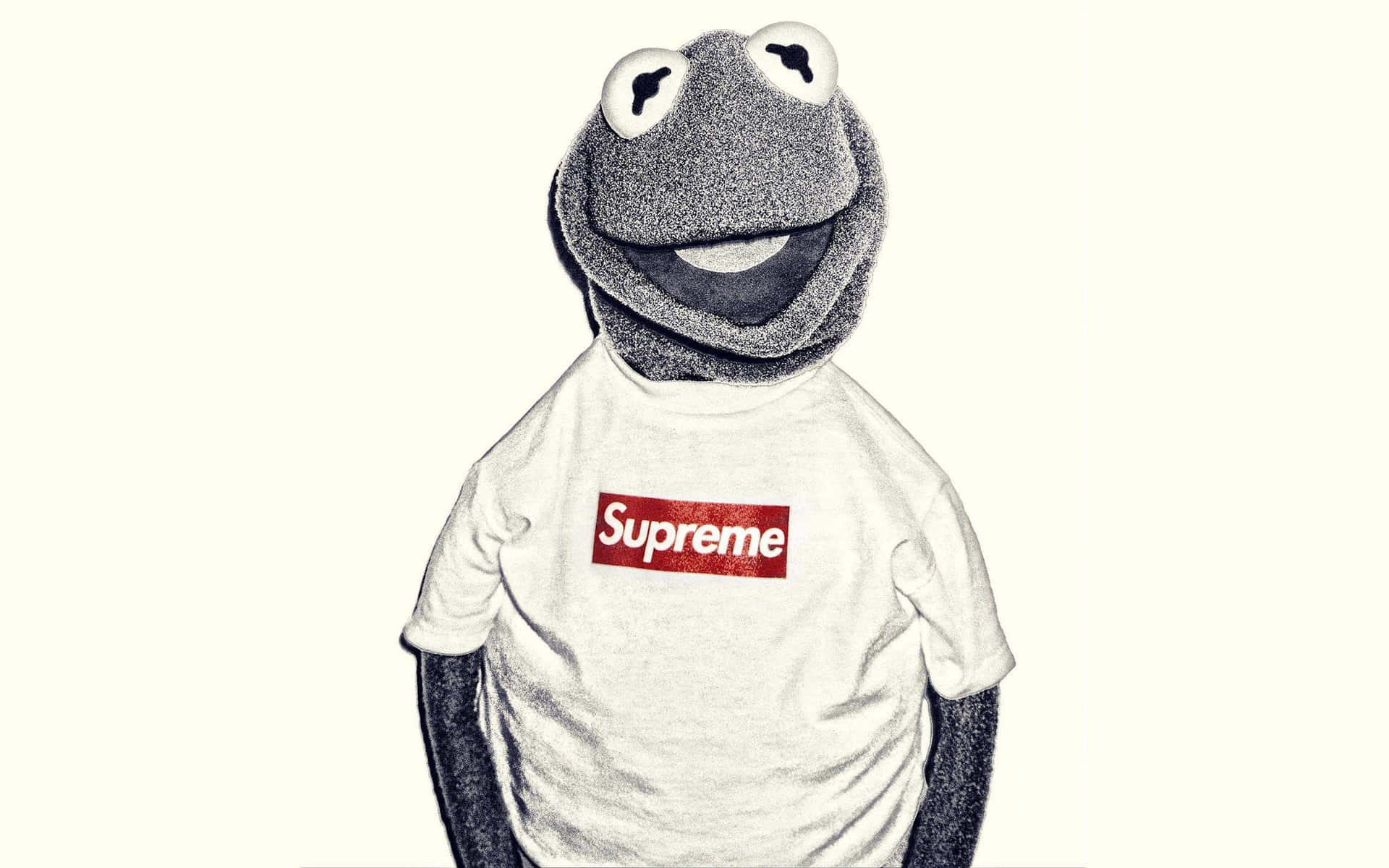穿著白色Supreme T恤的青蛙柯密特布偶。 — Supreme GIF 壁紙