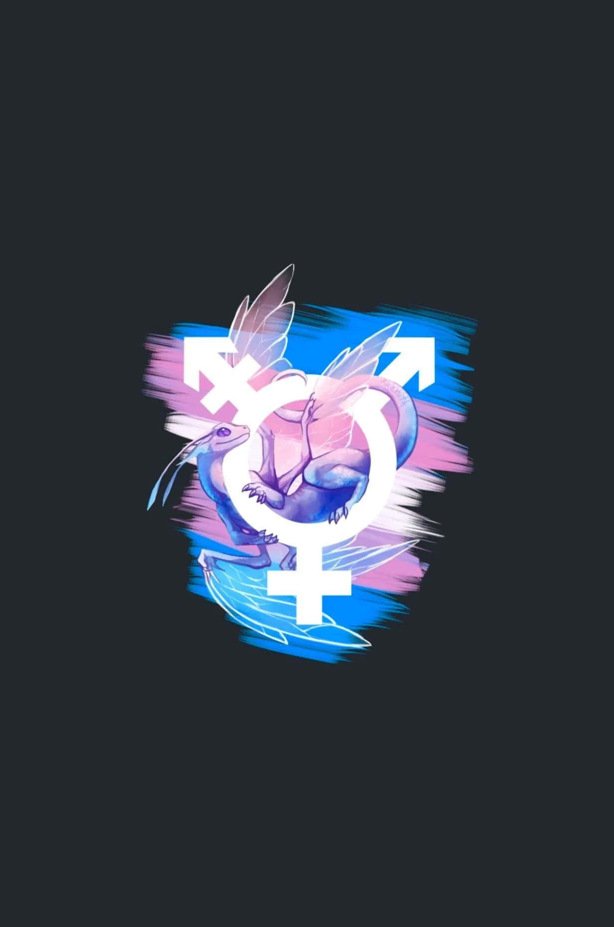 transgender 桌布 壁紙 — 一隻有翼的風格化龍環繞著一個白色跨性別標誌，背景為帶有藍色和粉紅色筆觸的深色背景。