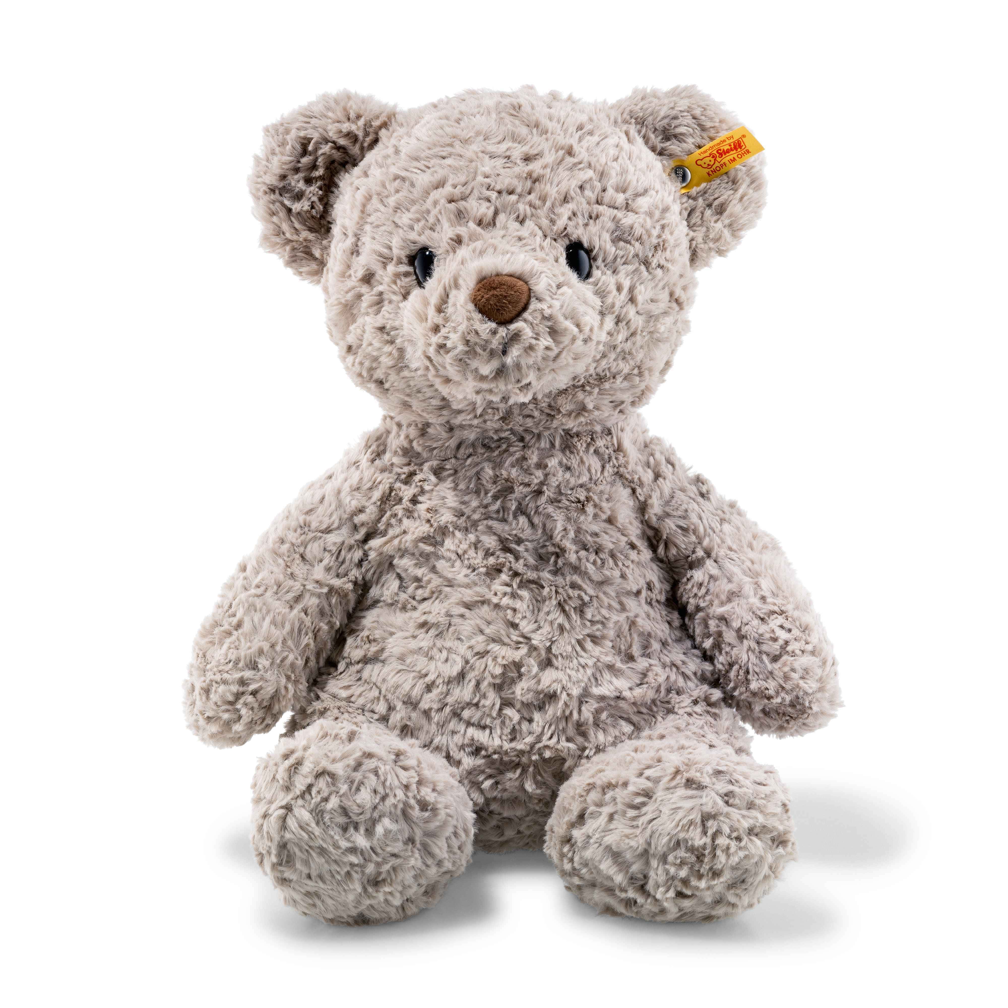 Cuddly 桌布 壁紙 — 一隻柔軟灰色毛絨泰迪熊，黑色眼睛和棕色鼻子，直坐在乾淨的白色背景前。
