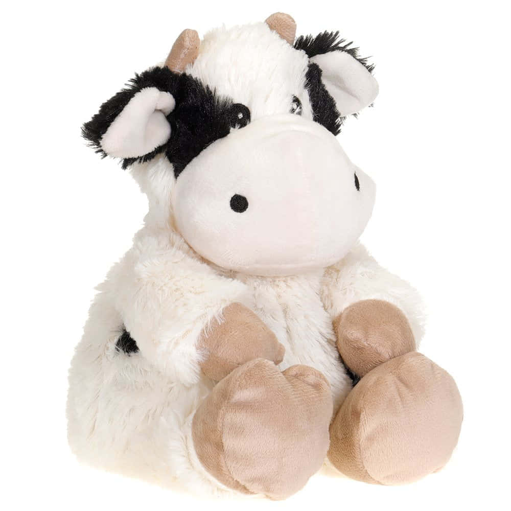Black And White Cow 桌布 壁紙 — 一隻柔軟白色毛絨牛，帶有黑色斑點和棕褐色蹄子，直立坐在潔白背景前。