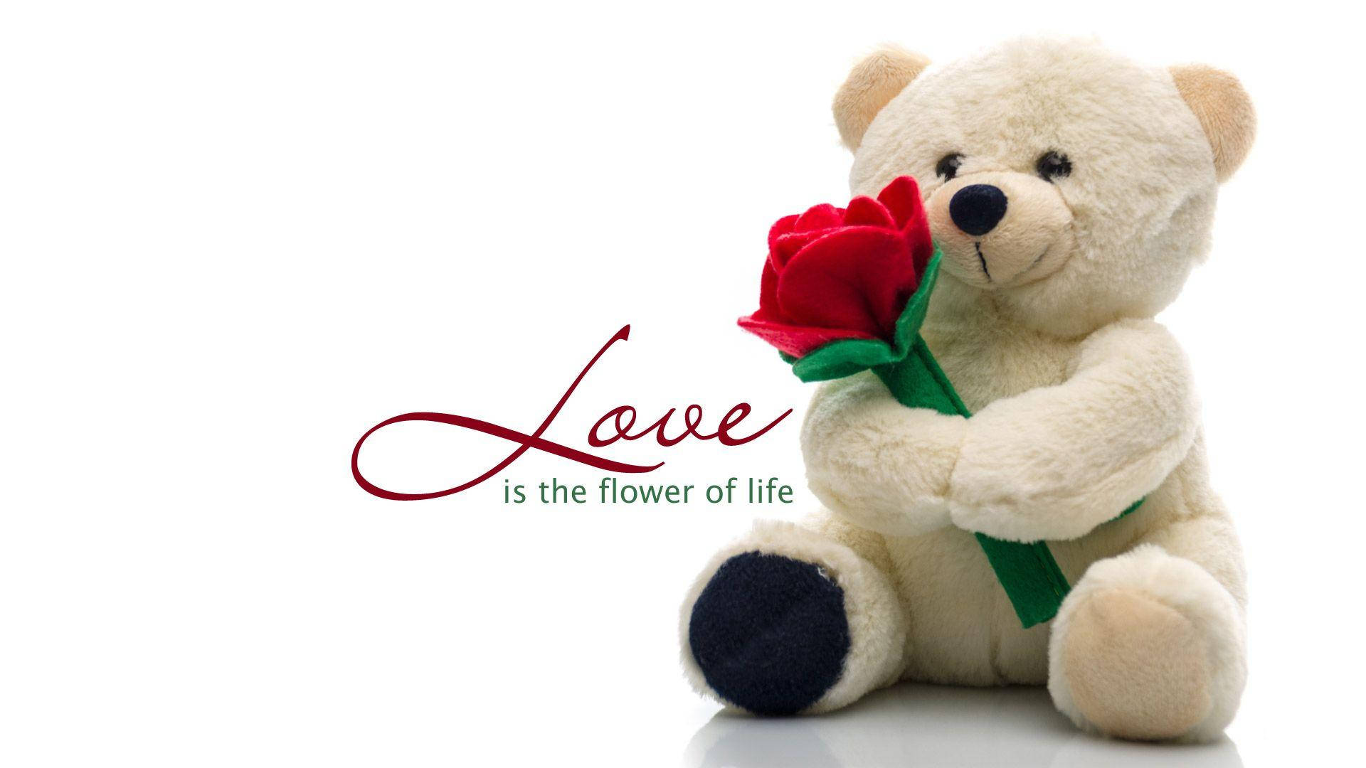 Teddy Bear 桌布 壁紙 — 一隻柔軟的奶油色泰迪熊輕輕握著一朵鮮豔的紅玫瑰，背景是潔淨的白色，並配有優雅的手寫文字。
