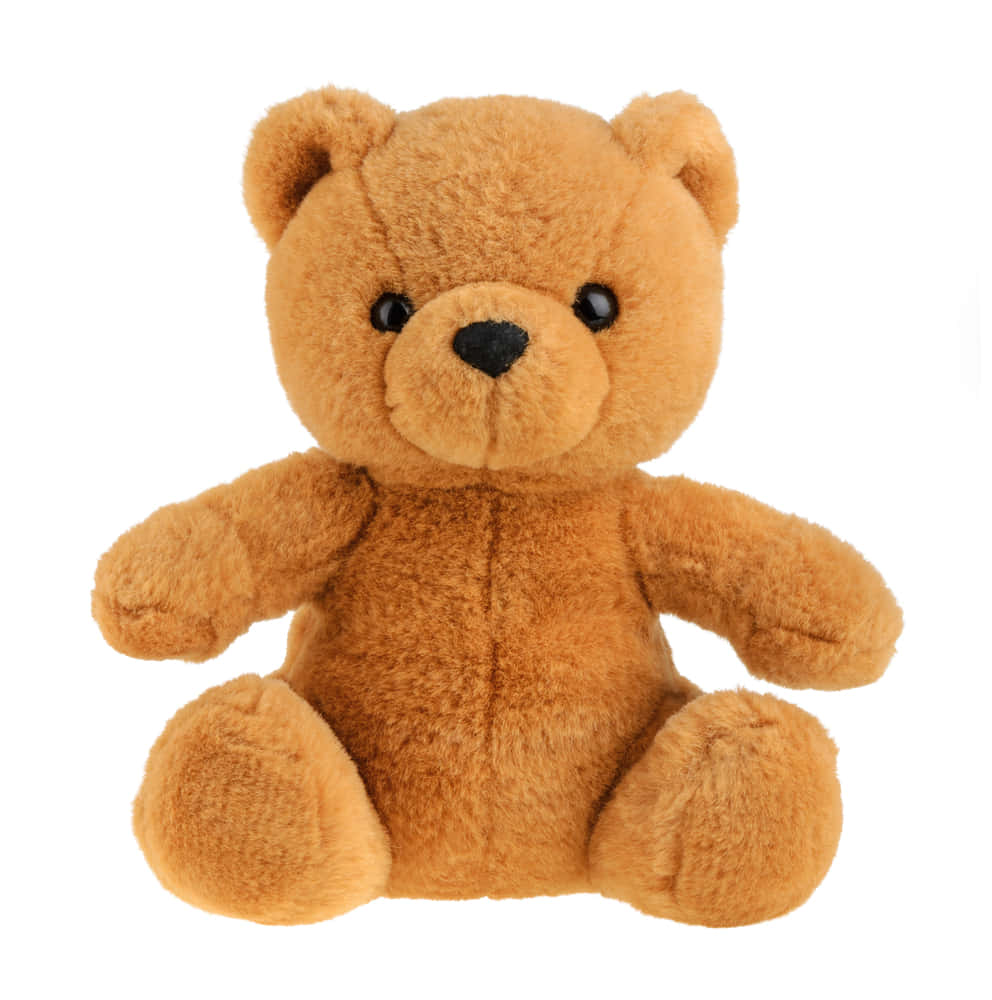 Cuddly 桌布 壁紙 — 一隻柔軟的棕色毛絨泰迪熊，黑色鈕扣眼睛和鼻子，在潔白背景上直立坐著。