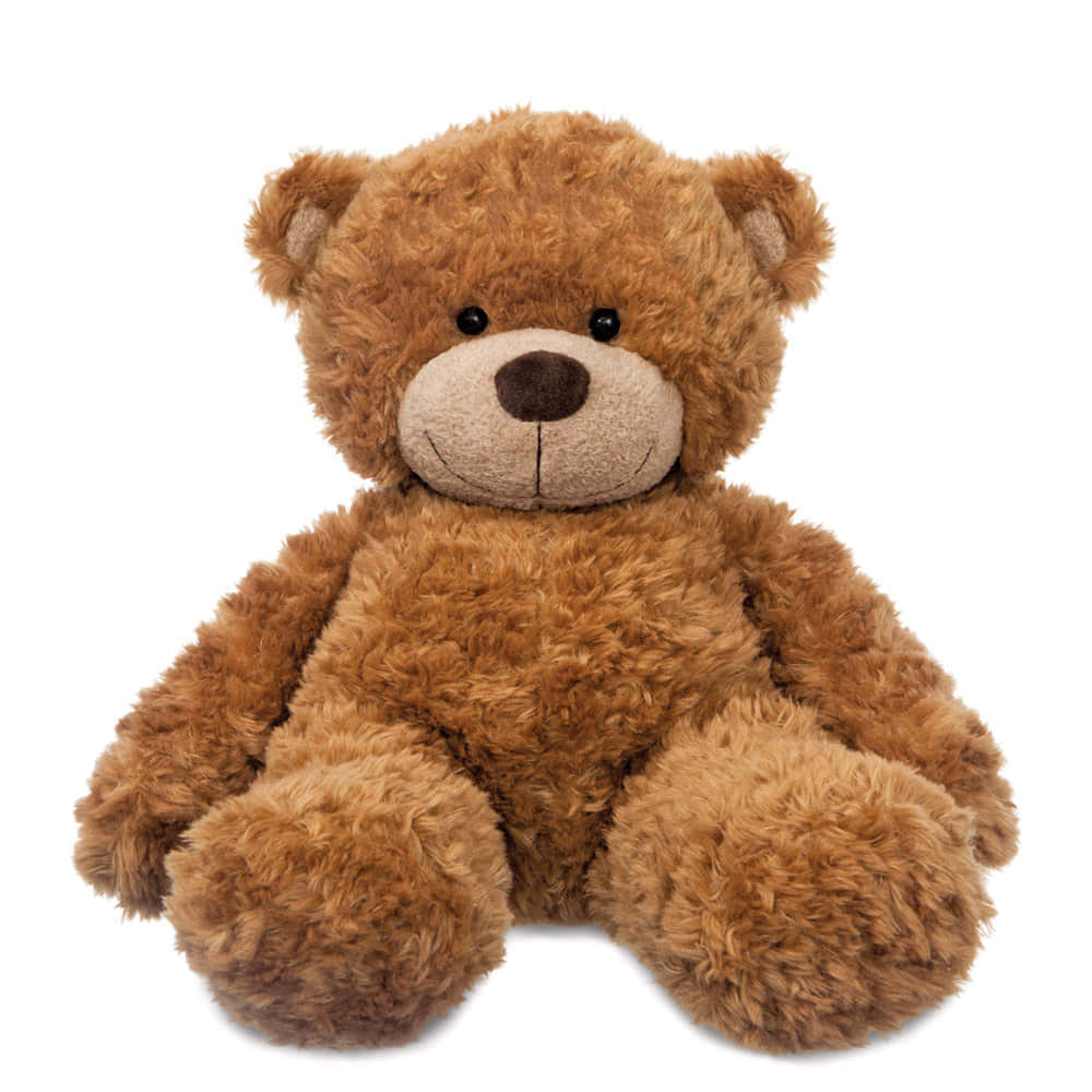 Teddy Bear 桌布 壁紙 — 一隻柔軟的棕色泰迪熊，帶有黑色鈕扣眼睛，在潔白的背景上直立坐著。