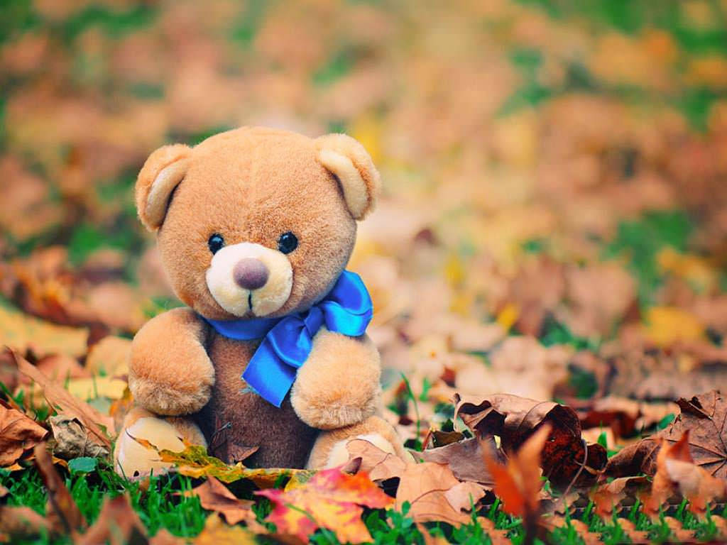 Cute Bear 桌布 壁紙 — 一隻柔軟的棕色泰迪熊，繫著亮藍色蝴蝶結，坐在綠色草地上散落的秋葉中。