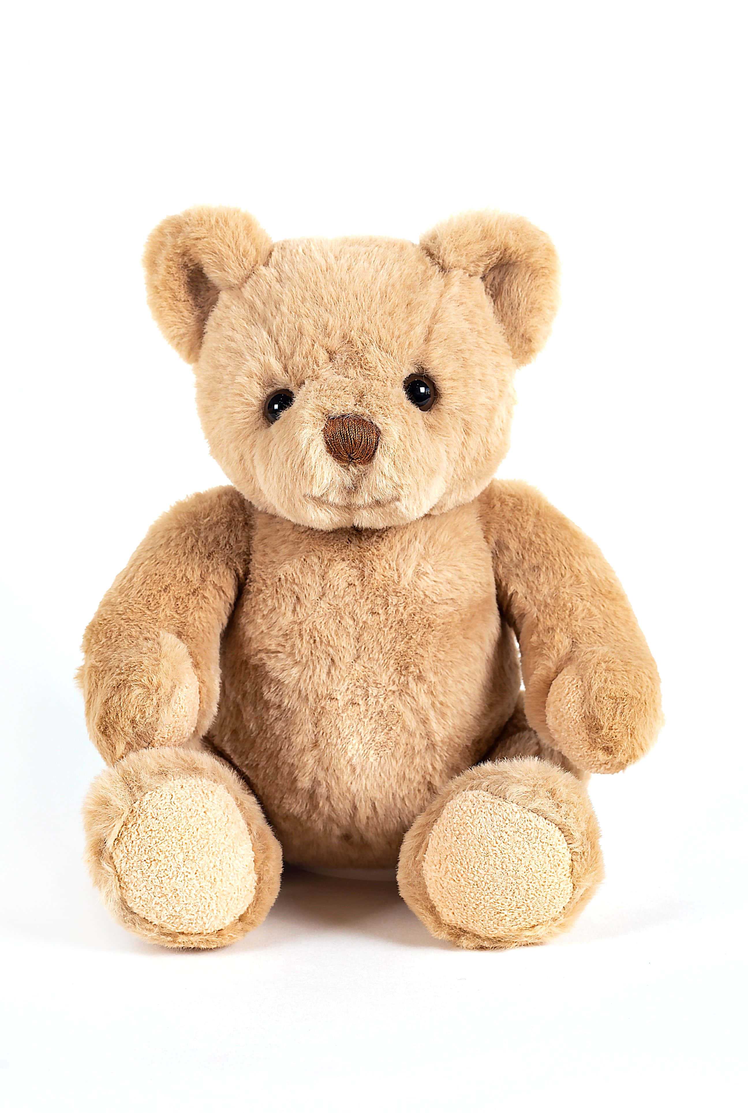 Teddy Bear 桌布 壁紙 — 一隻柔軟的棕色泰迪熊，黑色鈕扣眼睛，直立在純白色背景前。