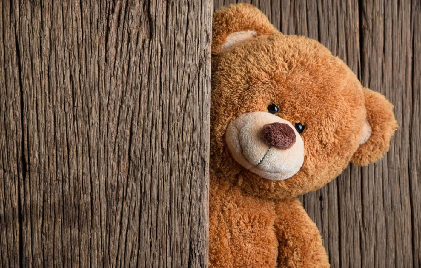 Cute Teddy 桌布 壁紙 — 一隻柔軟的棕色泰迪熊從一塊風化的木板後面好奇地探出頭來，帶著溫柔的微笑。