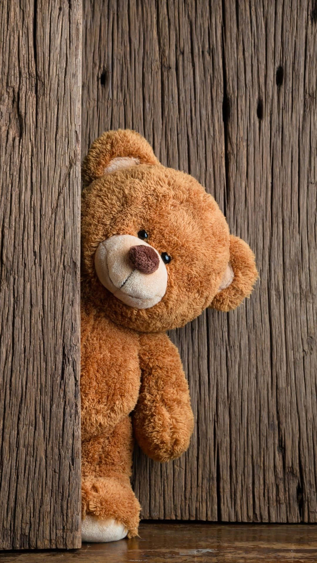 熊 桌布 壁紙 — 一隻柔軟的棕色泰迪熊從一扇帶有紋理木紋的風化木門後好奇地探出頭來。