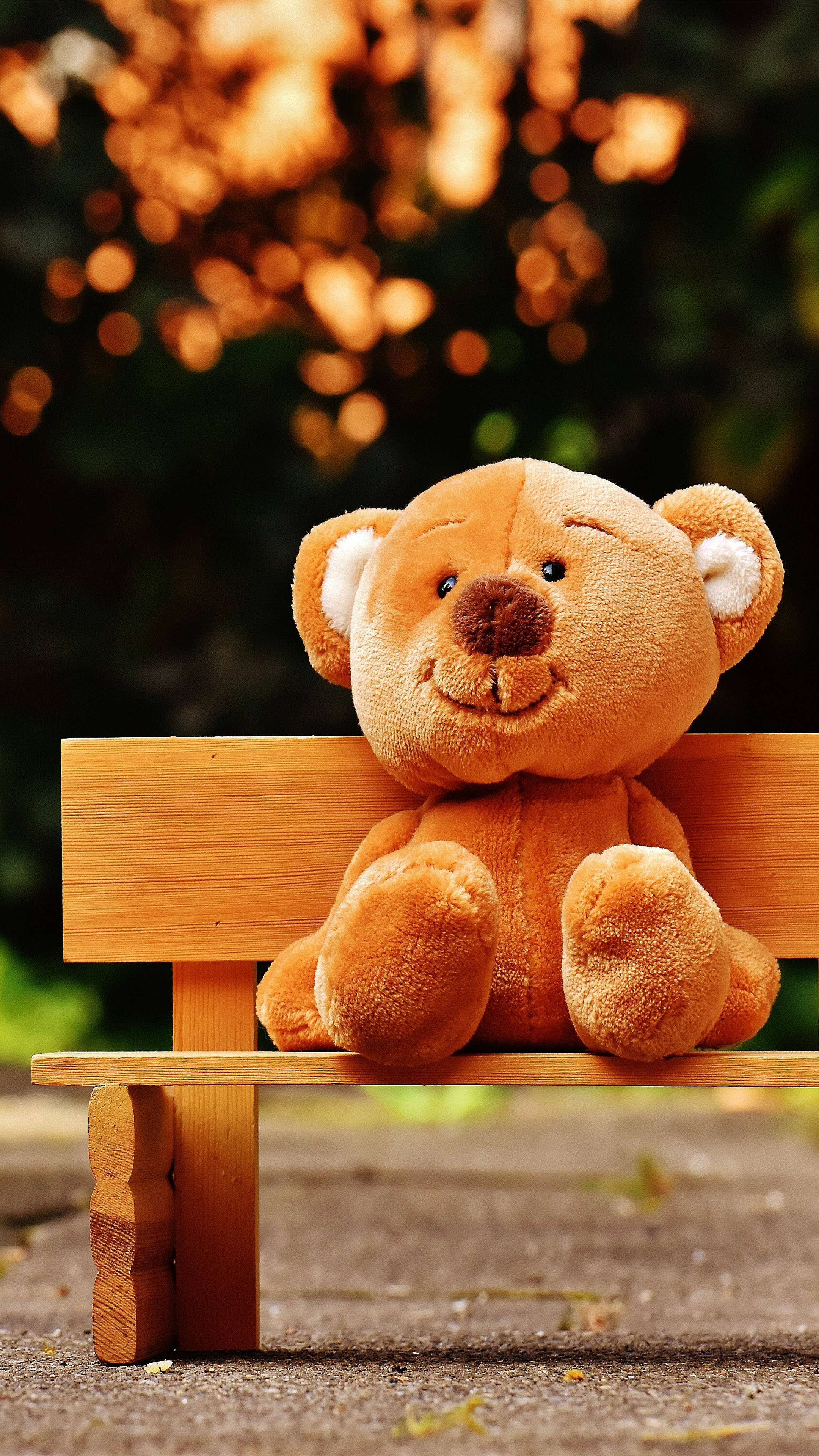 Teddy Bear 桌布 壁紙 — 一隻柔軟的棕色泰迪熊獨自坐在木長椅上，在溫暖的金色散景燈光下，處於寧靜的公園環境中。