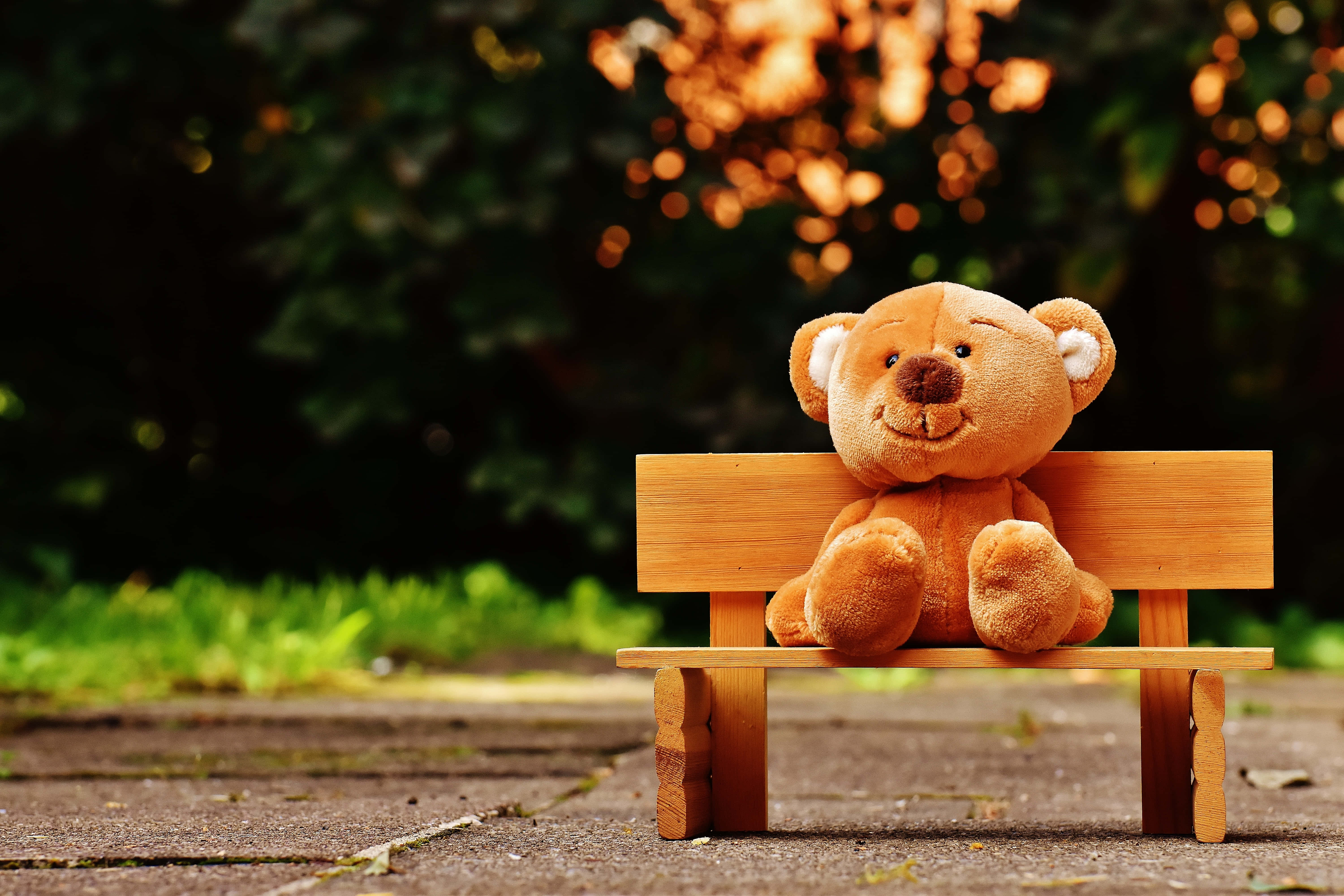 Teddy Bear 桌布 壁紙 — 一隻柔軟的棕色泰迪熊獨自坐在陽光花園的木長椅上，背後有金色的散景樹葉。