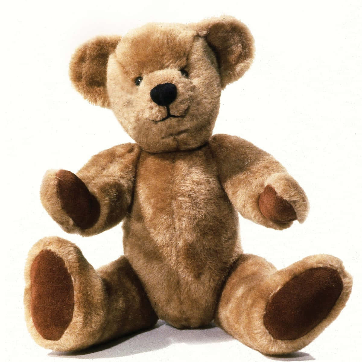 Teddy Bear 桌布 壁紙 — 一隻柔軟的棕色泰迪熊直立坐在純白色背景前，下方有柔和的陰影。