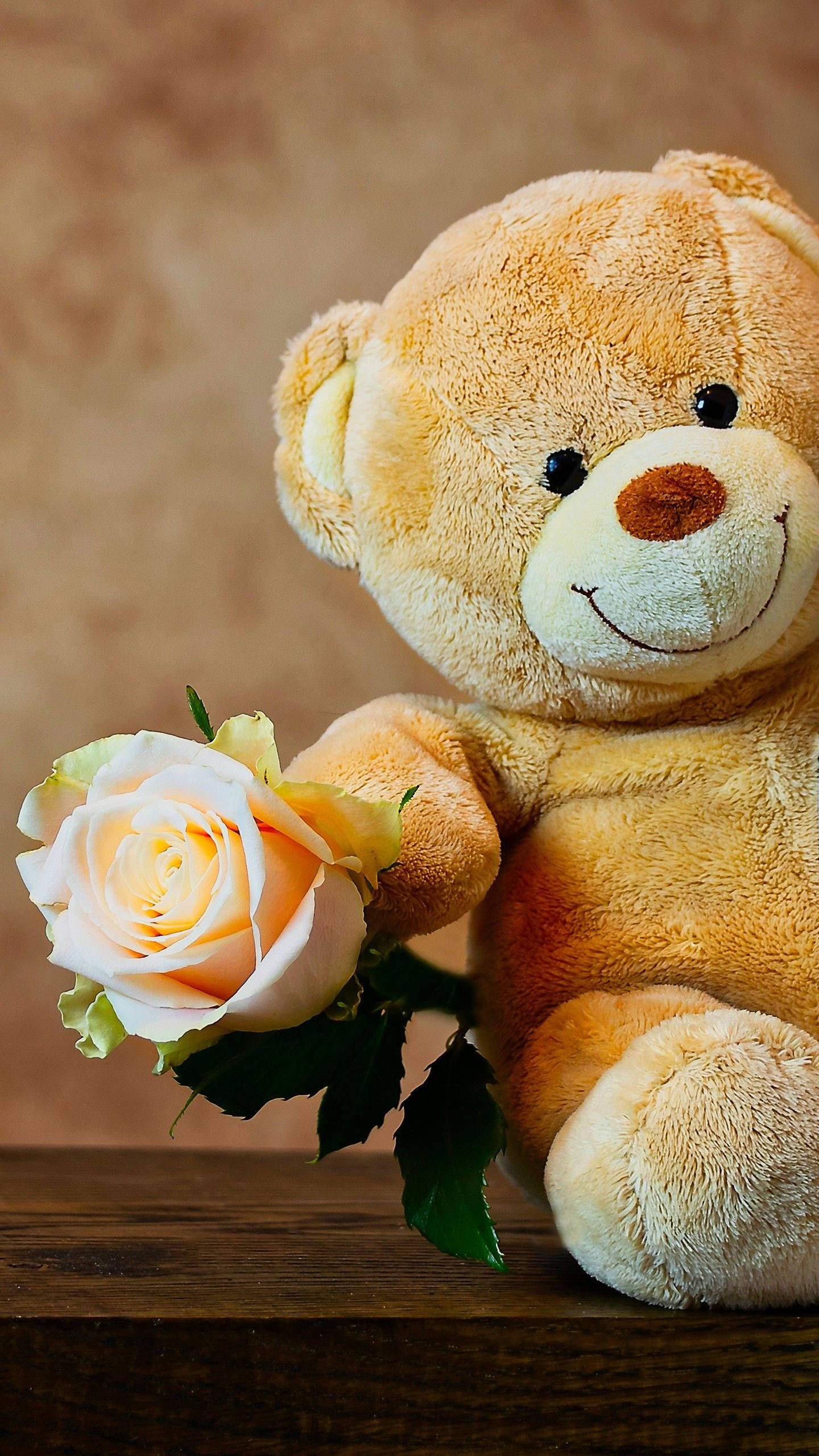 Teddy Bear 桌布 壁紙 — 一隻柔軟的淺棕色泰迪熊帶著縫製的微笑，在溫暖的棕色背景下輕輕握著一朵精緻的蜜桃玫瑰。