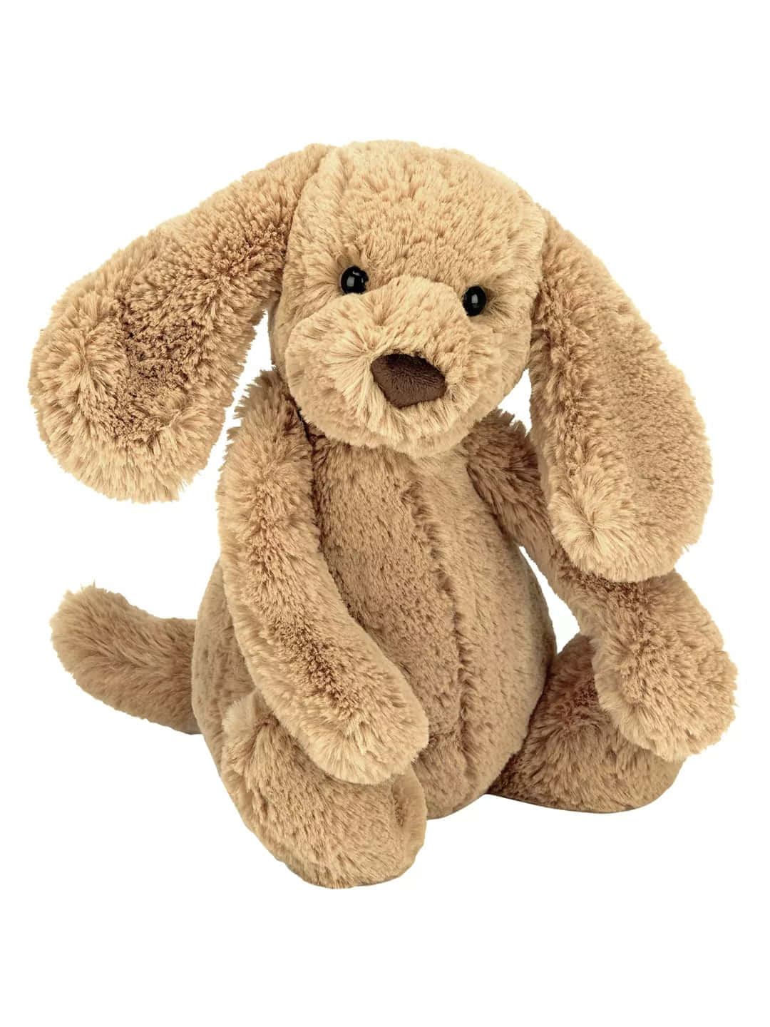 Cuddly 桌布 壁紙 — 一隻柔軟的淺褐色毛絨小狗，垂耳，坐直在乾淨的白色背景前。