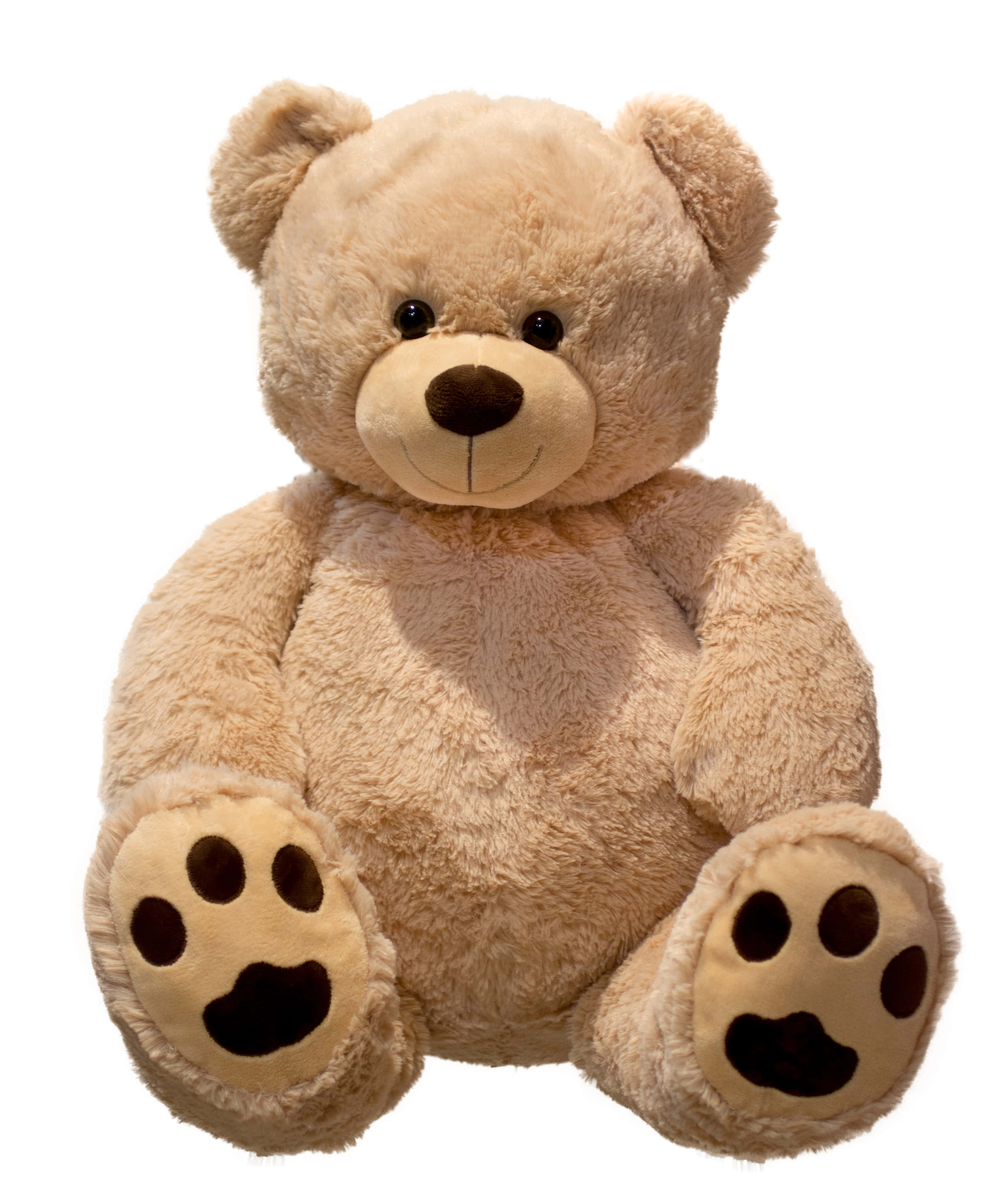 Cuddly 桌布 壁紙 — 一隻柔軟的米色泰迪熊，有深棕色的手掌和鼻子，直坐在純白色背景前。