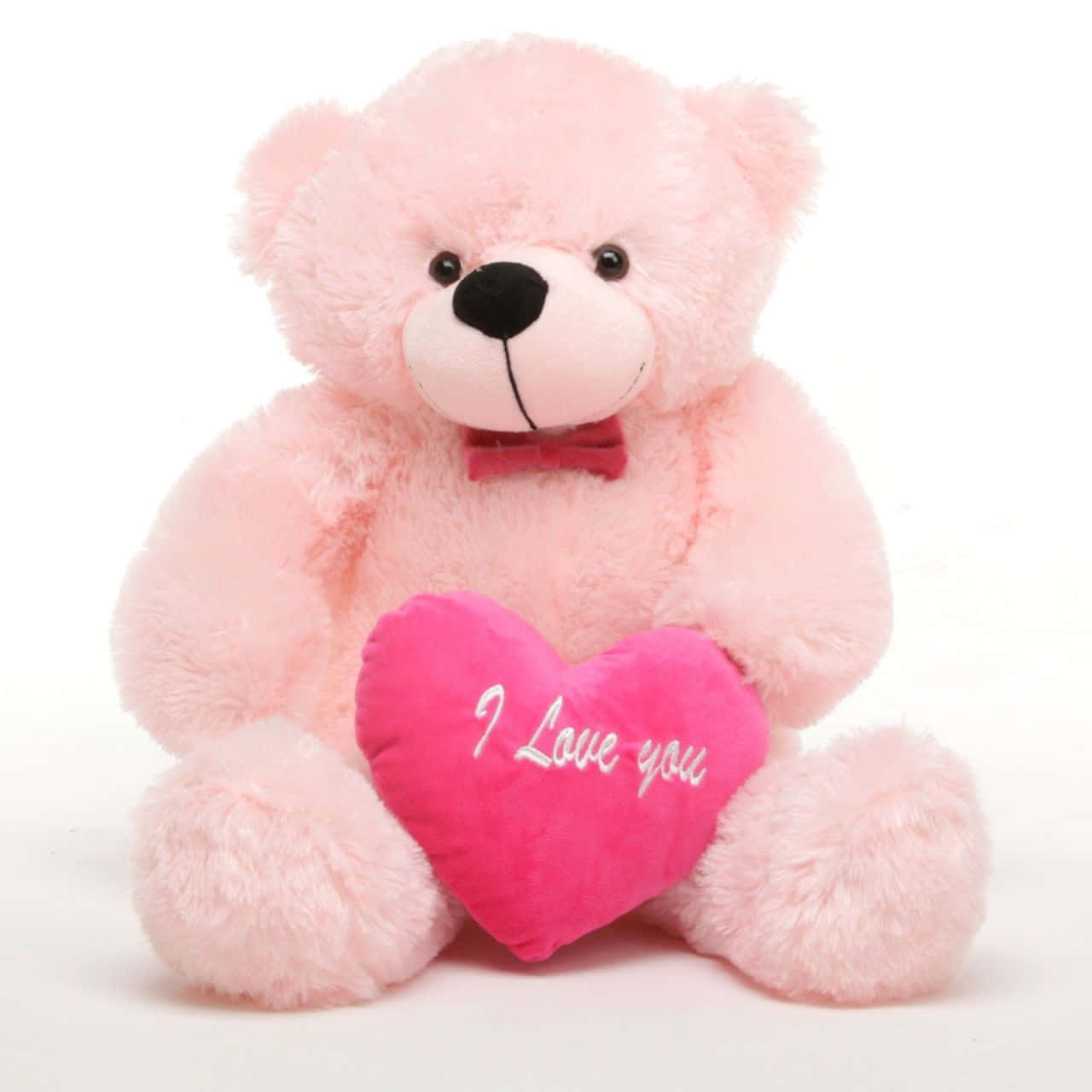 bear love 桌布 壁紙 — 一隻柔軟的粉紅色泰迪熊坐在白色背景前，抱著一個繡有「I Love you」的亮粉色心形枕頭。