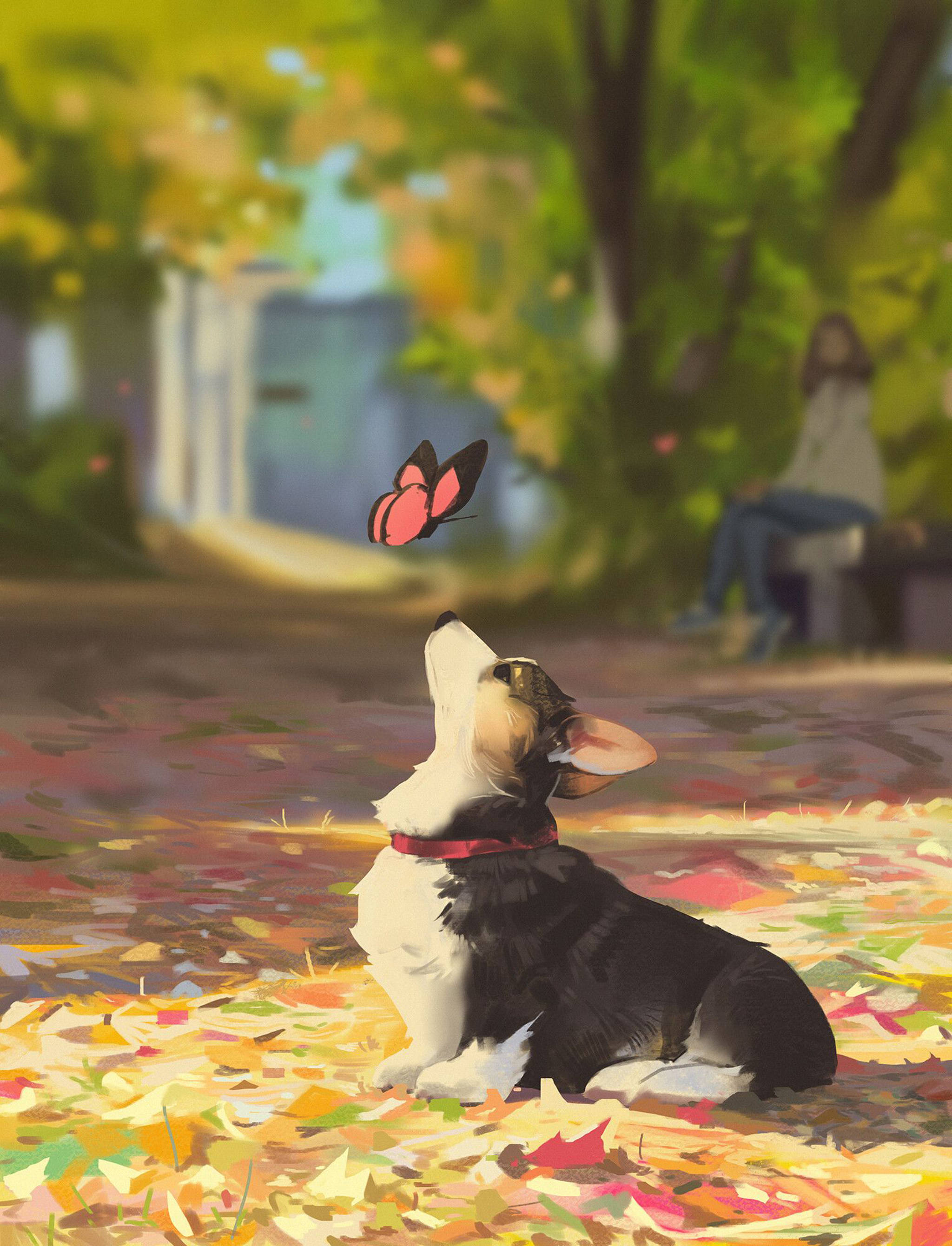 Dog Art 桌布 壁紙 — 一隻柯基幼犬坐在秋天的落葉中，抬頭看著陽光普照的公園裡一隻粉紅色和黑色的蝴蝶。