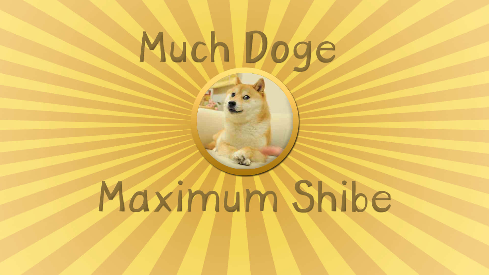 Cute Animal Memes 桌布 壁紙 — 一隻柴犬在圓形框架內，居中於黃色太陽爆發背景上，文字為 Much Doge 和 Maximum Shibe。