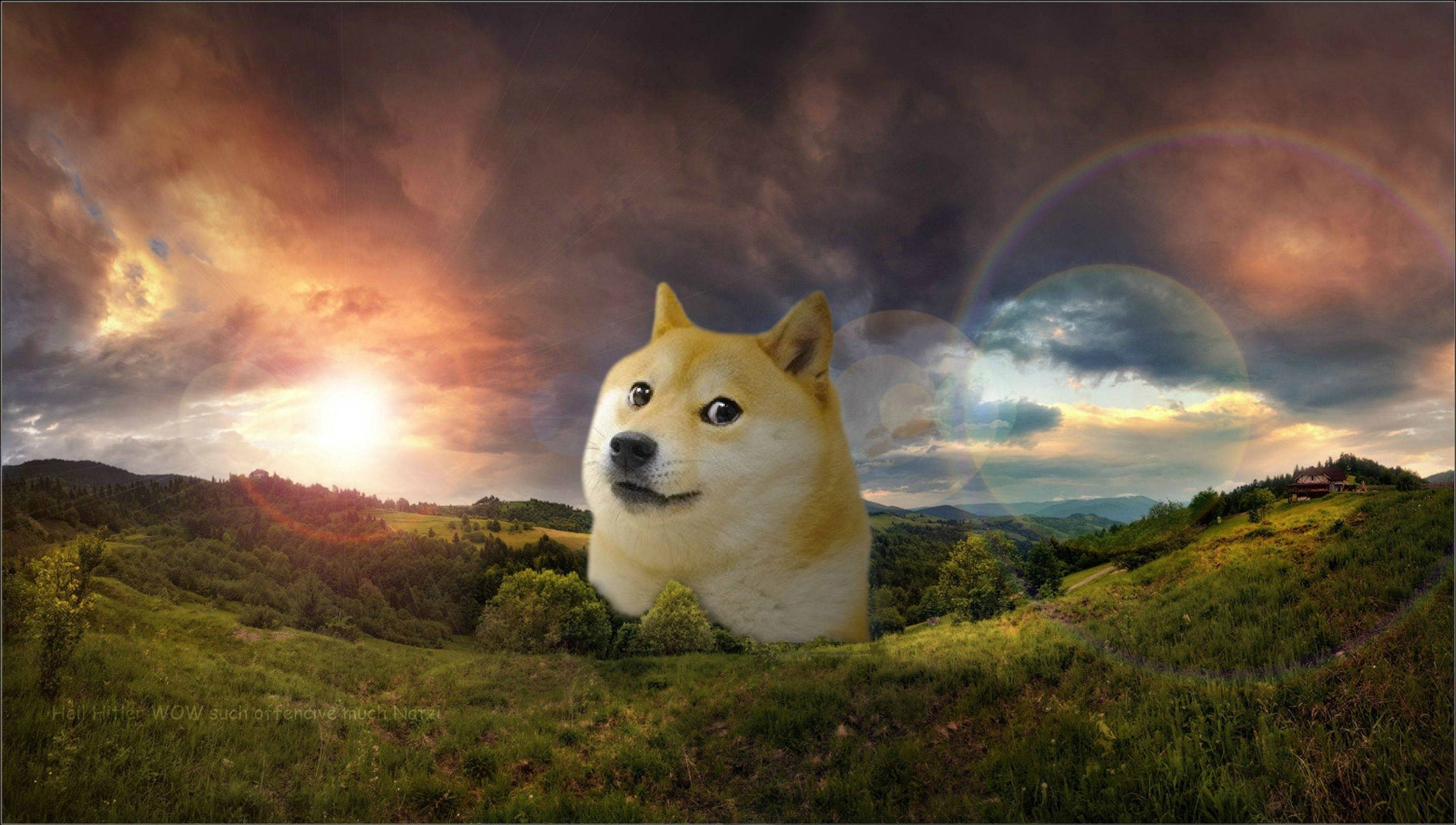 Doge 桌布 壁紙 — 一隻柴犬坐在草地上，背景是戲劇性的日落天空，帶有鏡頭光暈和遠處的山丘。