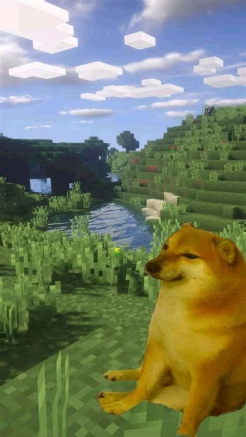 我的世界迷因 桌布 壁紙 — 一隻柴犬平靜地坐在像素化的Minecraft風景中，有方塊樹木和河流，天空中有立方體雲朵。