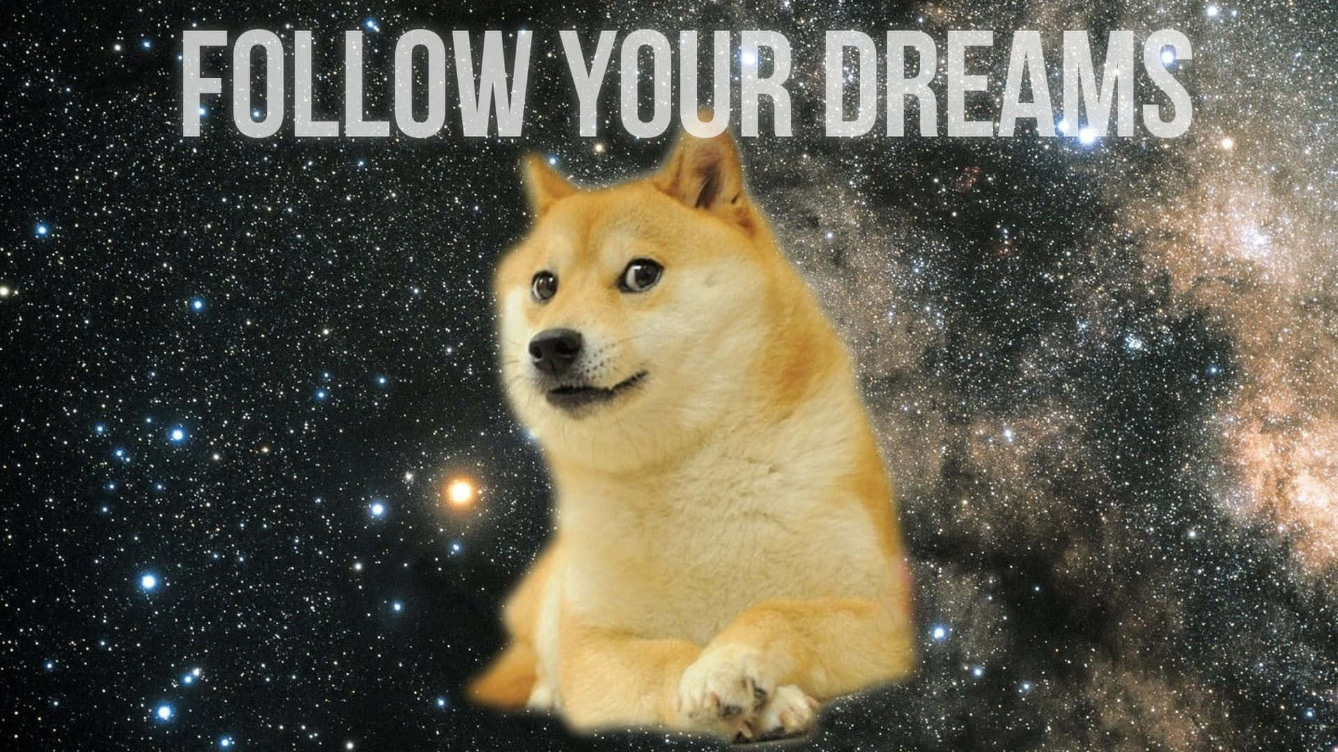 meme 桌布 壁紙 — 一隻柴犬平靜地坐在充滿活力的星空銀河背景前，上面覆蓋著「FOLLOW YOUR DREAMS」的文字。