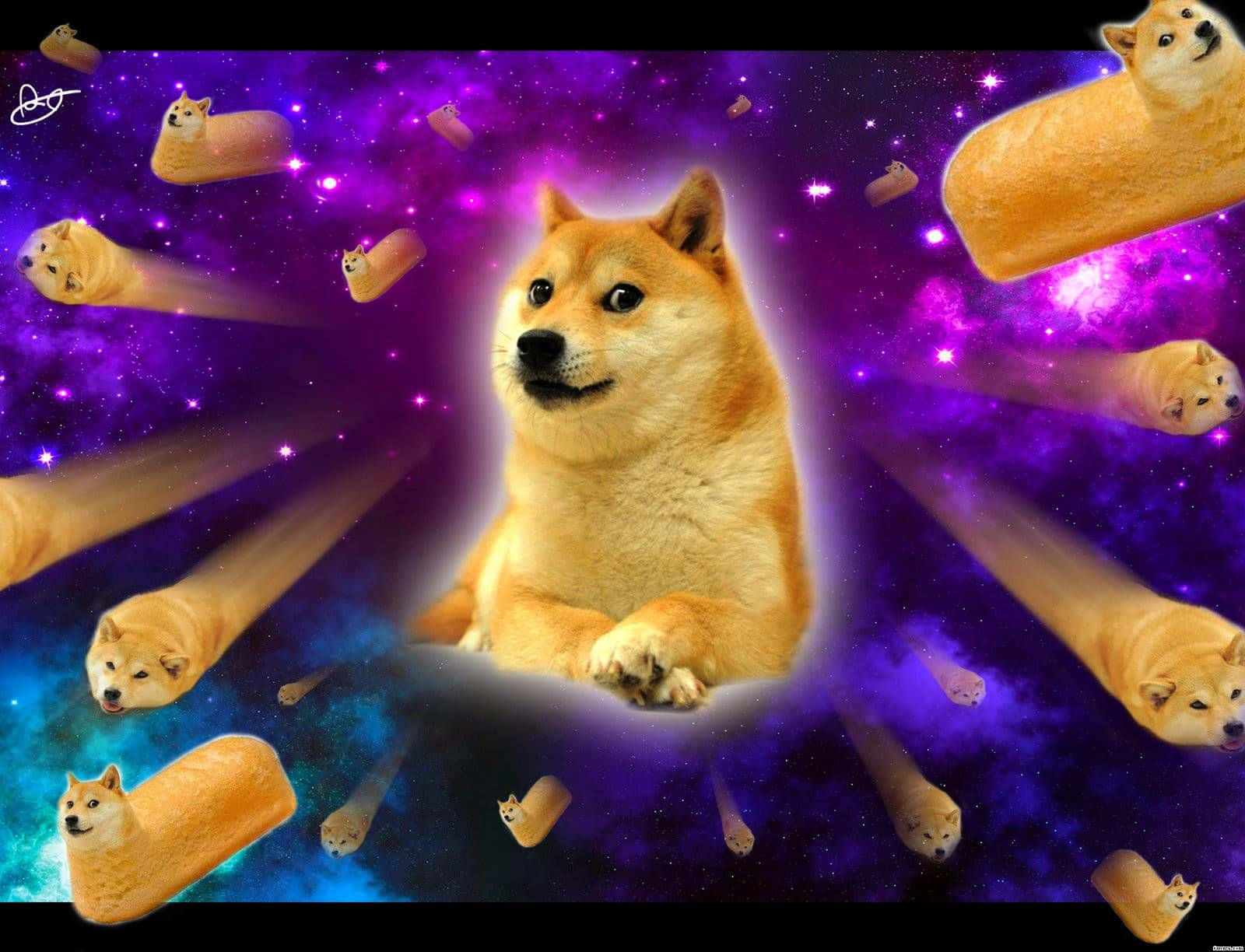 Dog Memes 桌布 壁紙 — 一隻柴犬平靜地坐在宇宙紫色星雲中，而相同的狗隻以發光的軌跡飛馳而過。