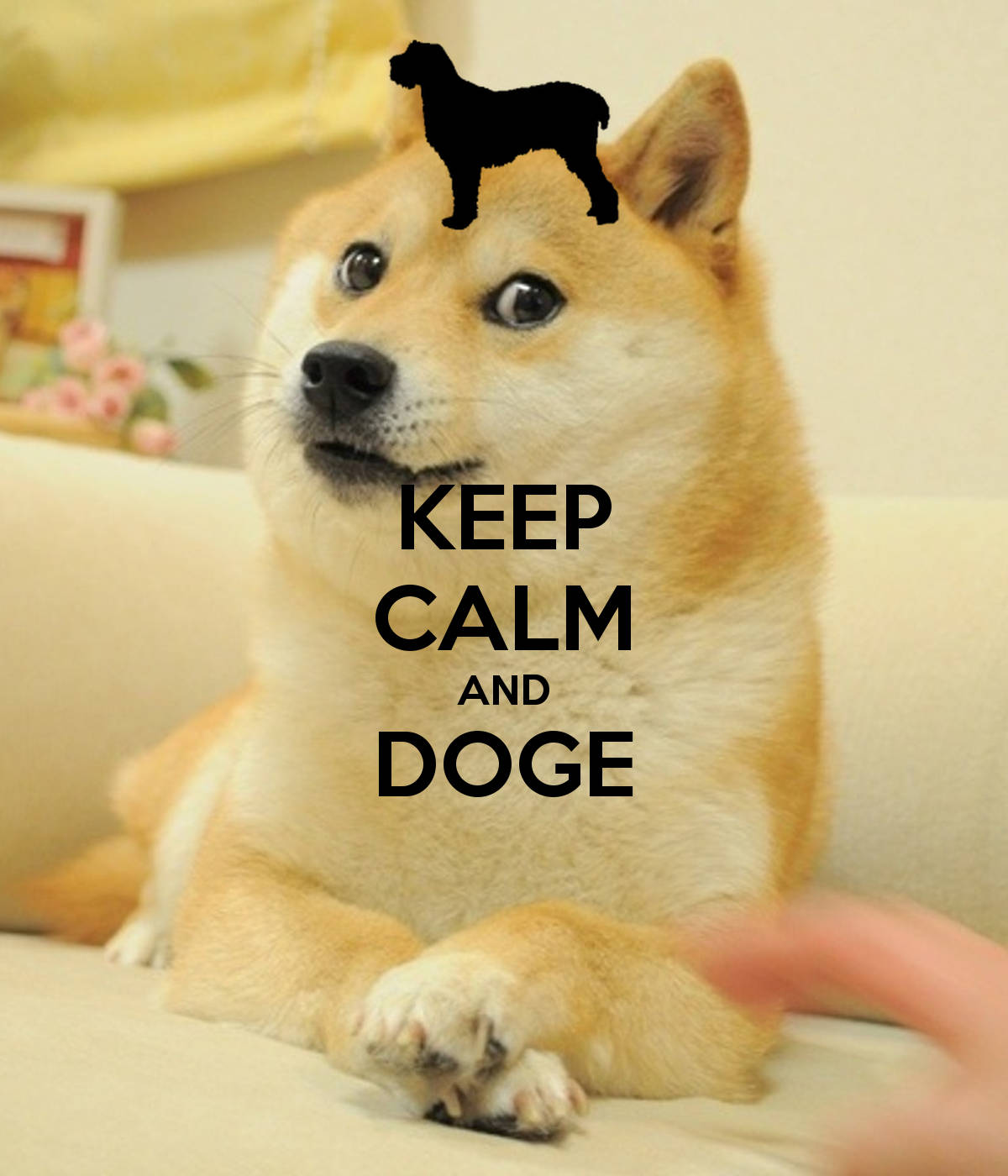 Doge 桌布 壁紙 — 一隻柴犬平靜地坐在沙發上，頭頂有一個黑色狗剪影和文字 'KEEP CALM AND DOGE'。
