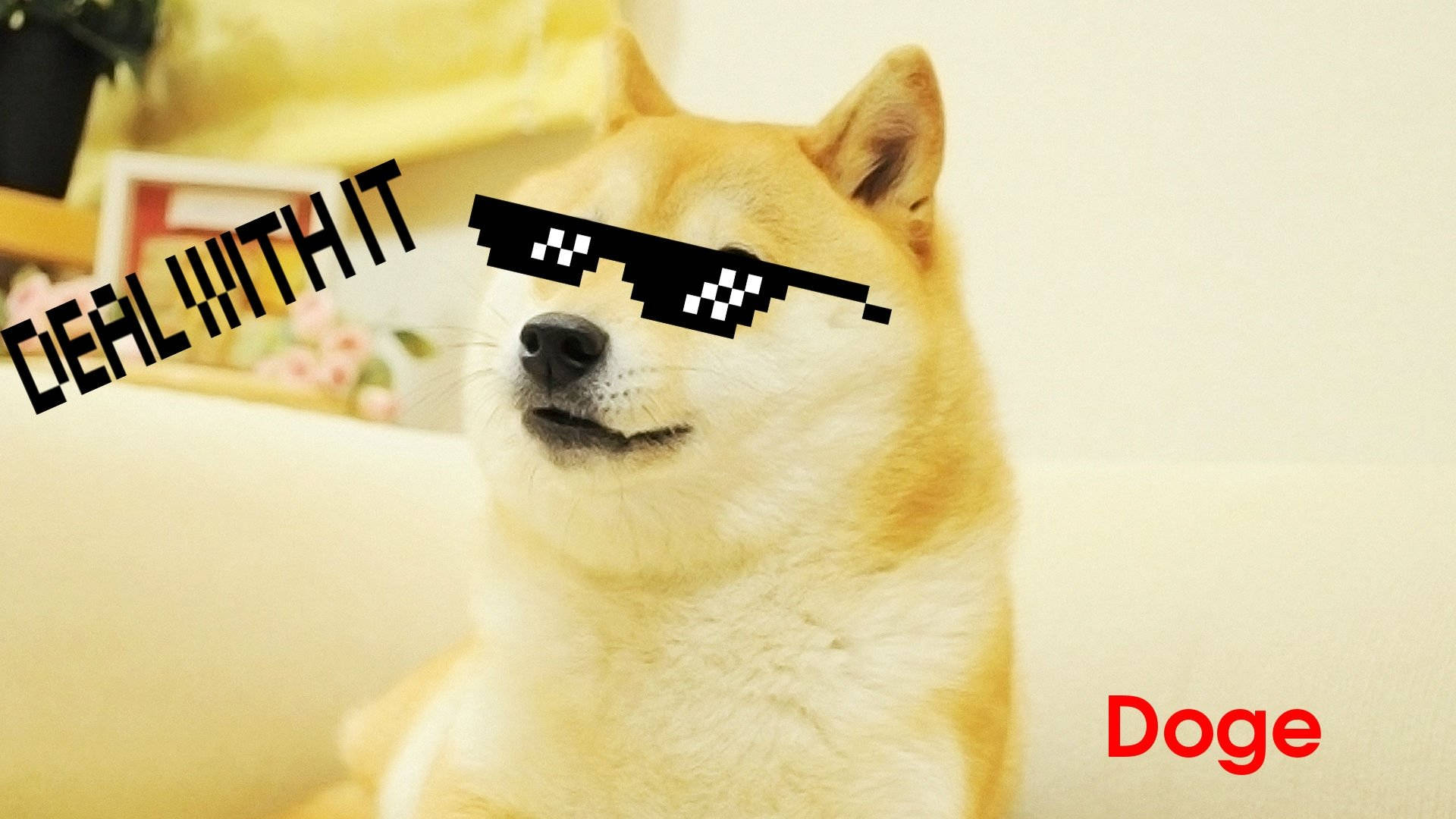 Doge 桌布 壁紙 — 一隻柴犬戴著像素化太陽眼鏡，上面有 'DEAL WITH IT' 文字，在舒適的室內環境中。