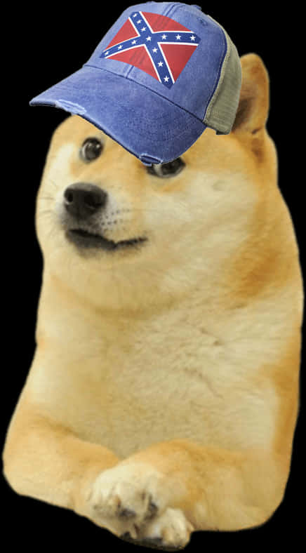 Memes 桌布 壁紙 — 一隻柴犬戴著帶有邦聯旗幟補丁的藍色帽子，在黑色背景下以困惑的表情凝視。