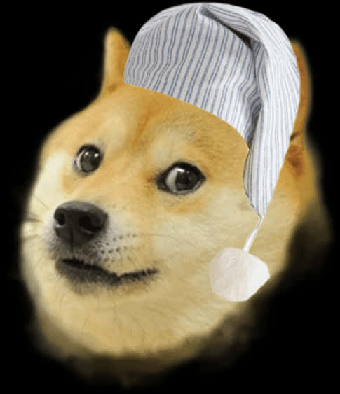 Doge 桌布 壁紙 — 一隻柴犬戴著藍白條紋睡帽，黑色背景的特寫。