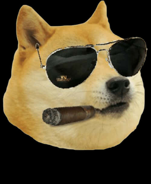 Doge 桌布 壁紙 — 一隻柴犬戴著飛行員太陽眼鏡，手持雪茄，背景為黑色。