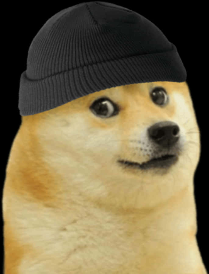 Doge 桌布 壁紙 — 一隻柴犬戴著黑色毛帽，在純黑色背景上的特寫。