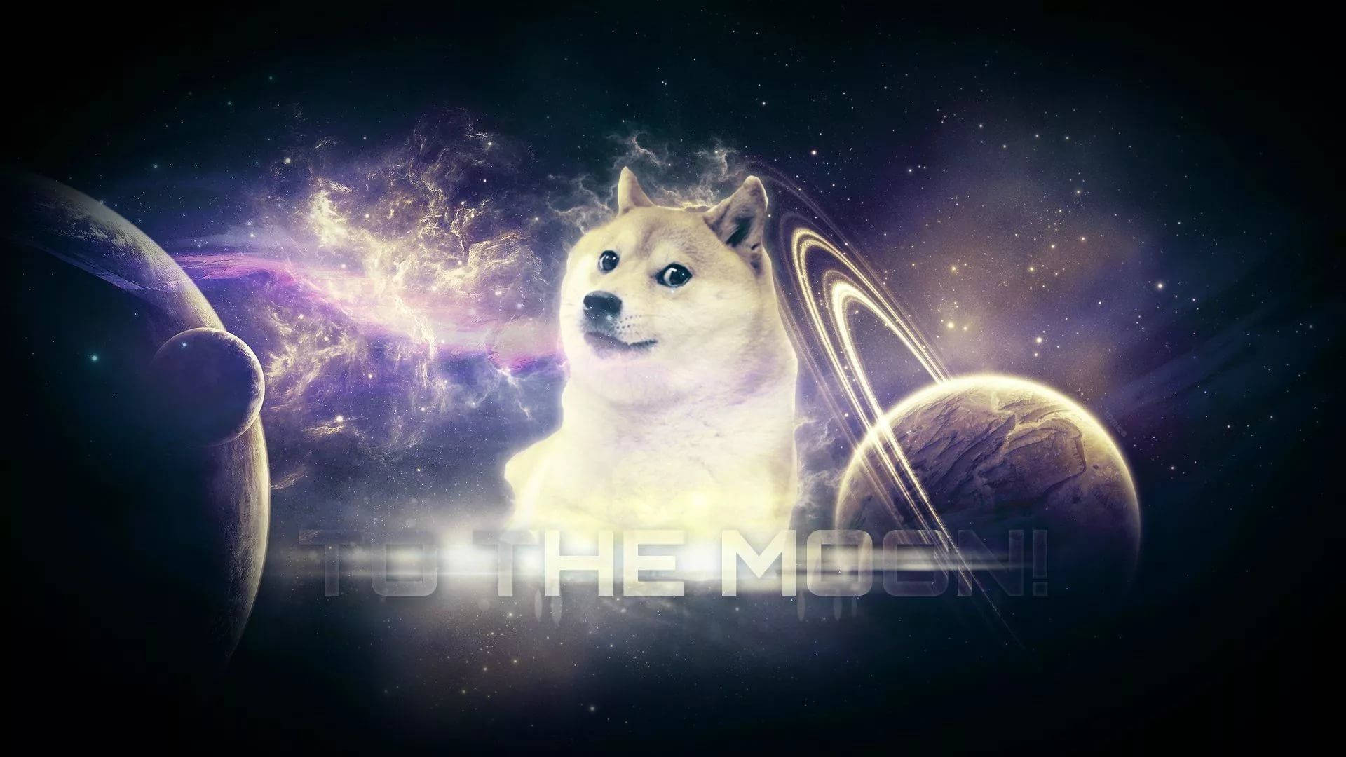 meme 桌布 壁紙 — 一隻柴犬漂浮在宇宙場景中，背景是星光點點的黑暗，有發光的星雲、行星和光環。