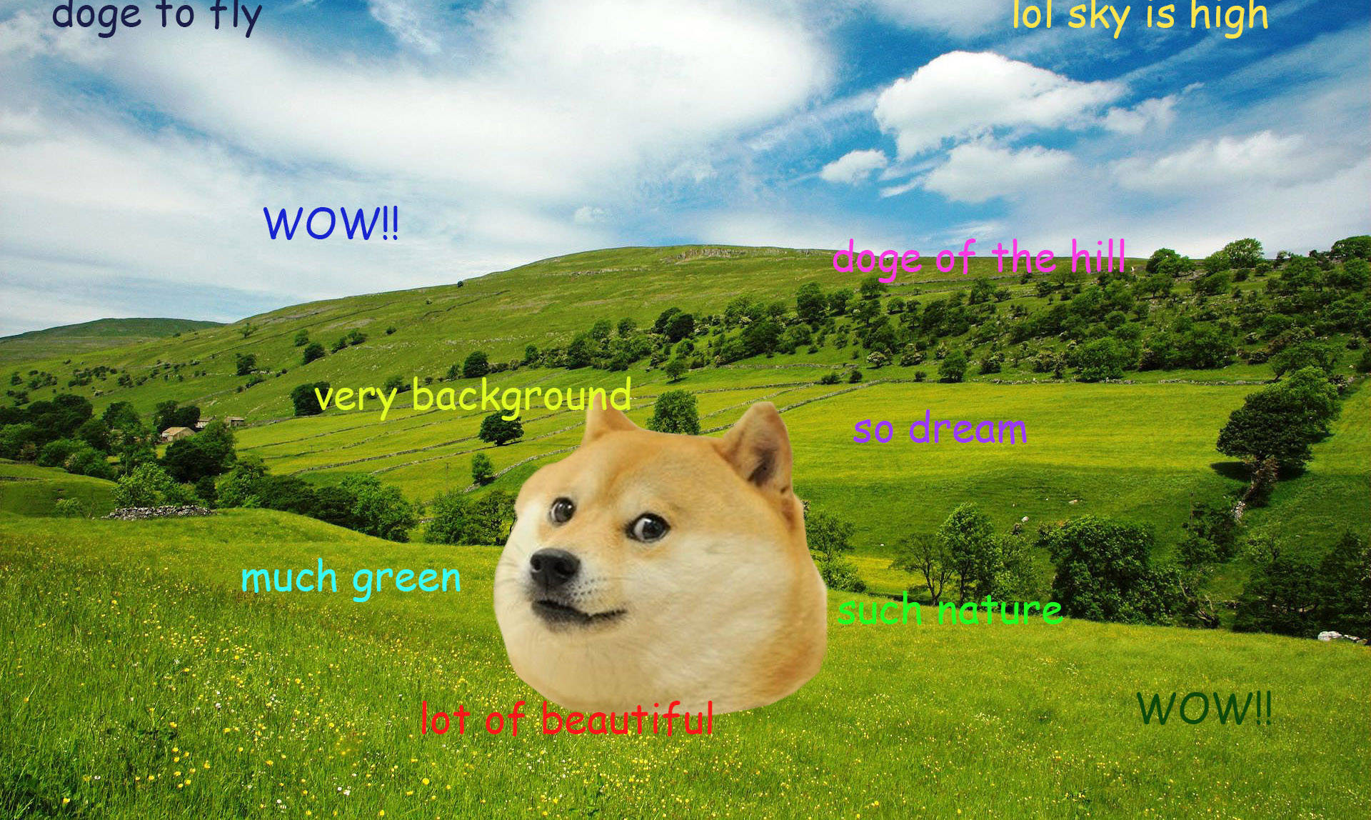 meme 桌布 壁紙 — 一隻柴犬的臉疊加在充滿活力的綠色起伏丘陵景觀上，背景是明亮的藍天和蓬鬆的白雲。
