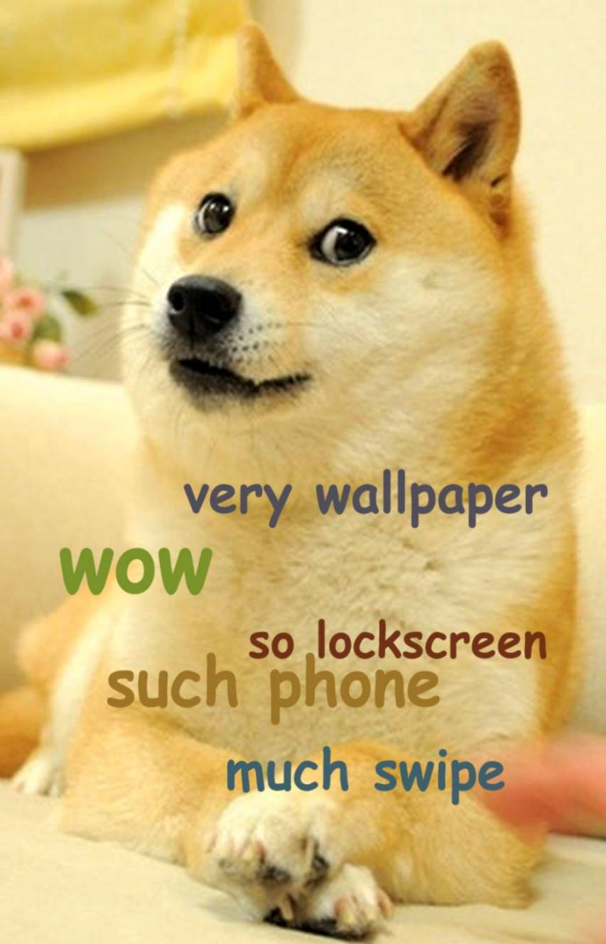 meme 桌布 壁紙 — 一隻柴犬睜大眼睛坐在沙發上，表情驚訝，上面覆蓋著迷因文字。