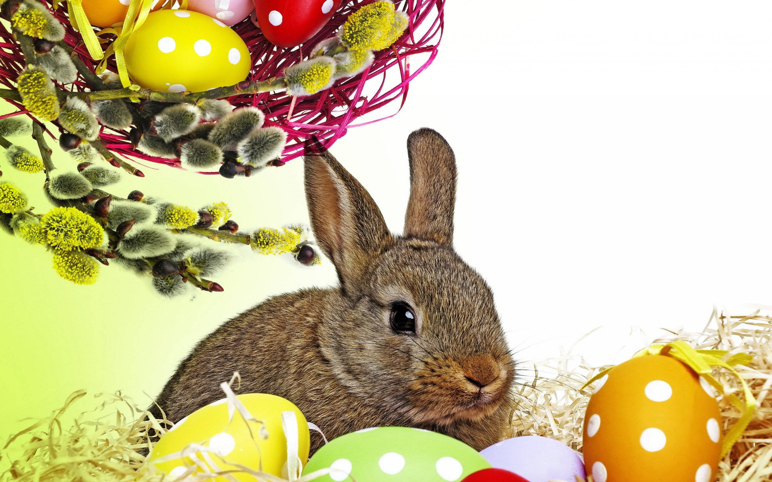 Cute Easter 桌布 壁紙 — 一隻棕色兔子坐在乾草巢中，周圍是色彩繽紛的圓點復活節蛋和柳枝。