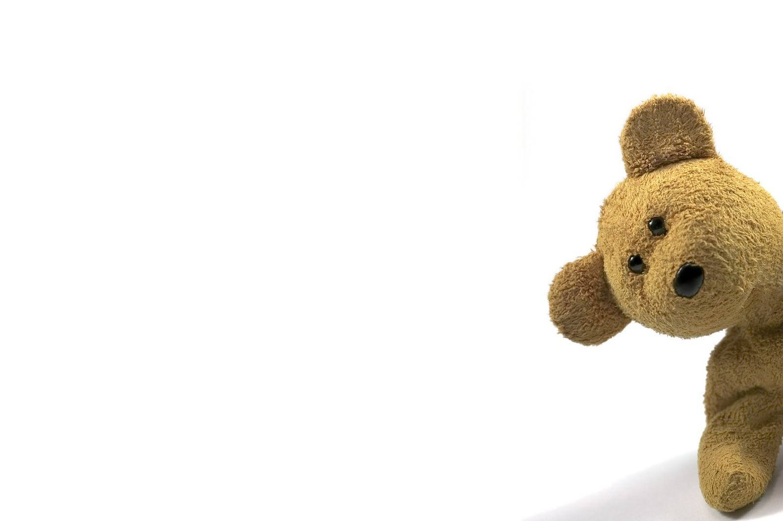 Cute Bear 桌布 壁紙 — 一隻棕色毛絨泰迪熊從右邊角落探出頭來，背景是純白色。